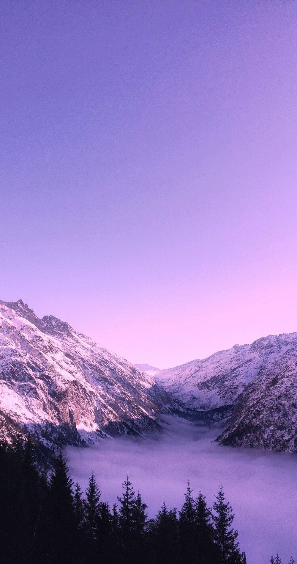 山景 桌布 壁紙 — 白雪覆蓋的山峰在柔和的紫色暮色天空下，從霧海中升起。