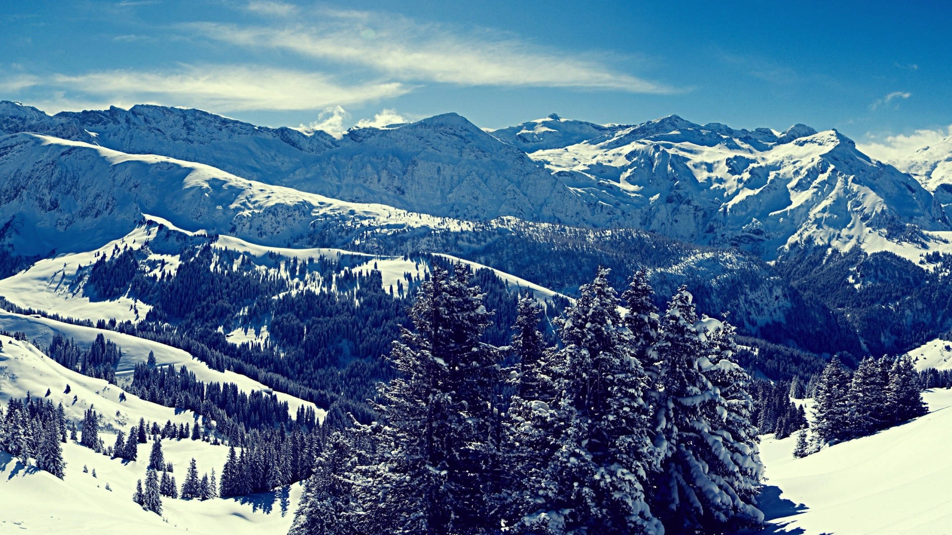 Winter Landscape 桌布 壁紙 — 白雪覆蓋的山峰在清澈的藍天下聳立，常綠樹上灑滿了白雪。