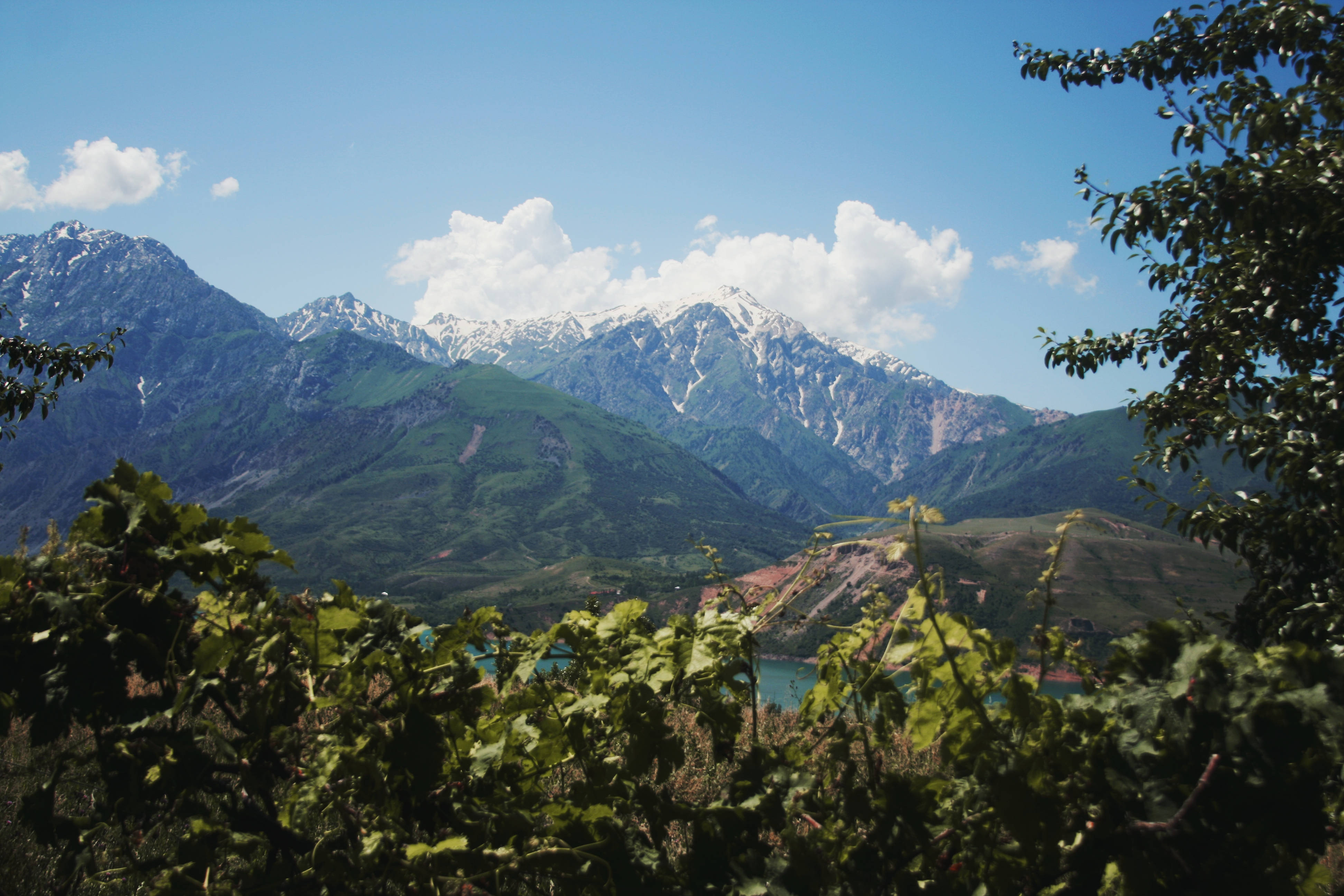 Uzbekistan 桌布 壁紙 — 白雪覆蓋的山峰在碧綠的湖泊後方升起，湖泊被茂密的綠葉環繞，上方是晴朗的藍天和蓬鬆的白雲。
