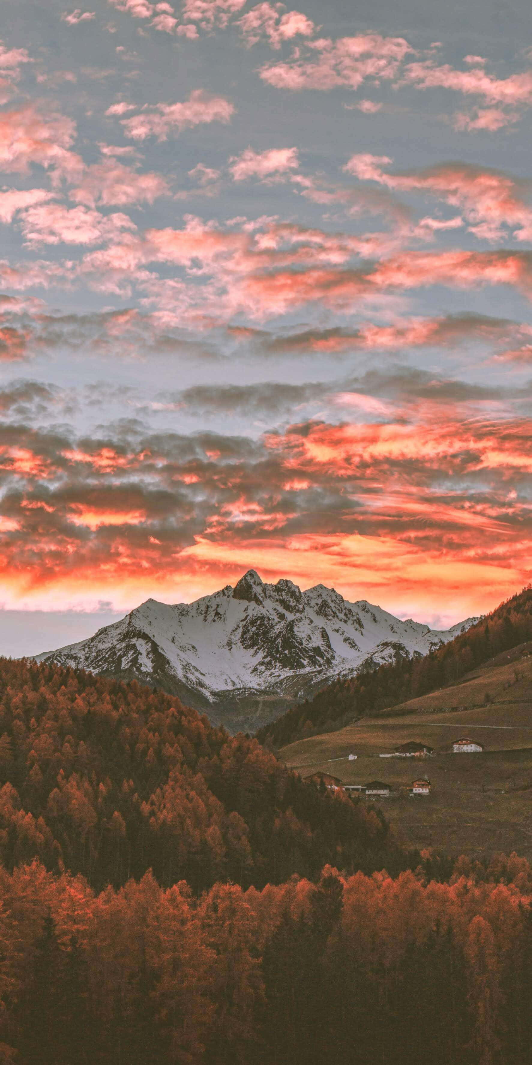 Aesthetic Nature 桌布 壁紙 — 白雪覆蓋的山峰在秋林之上，在火紅的夕陽天空下，有粉紅色和橙色的雲彩。