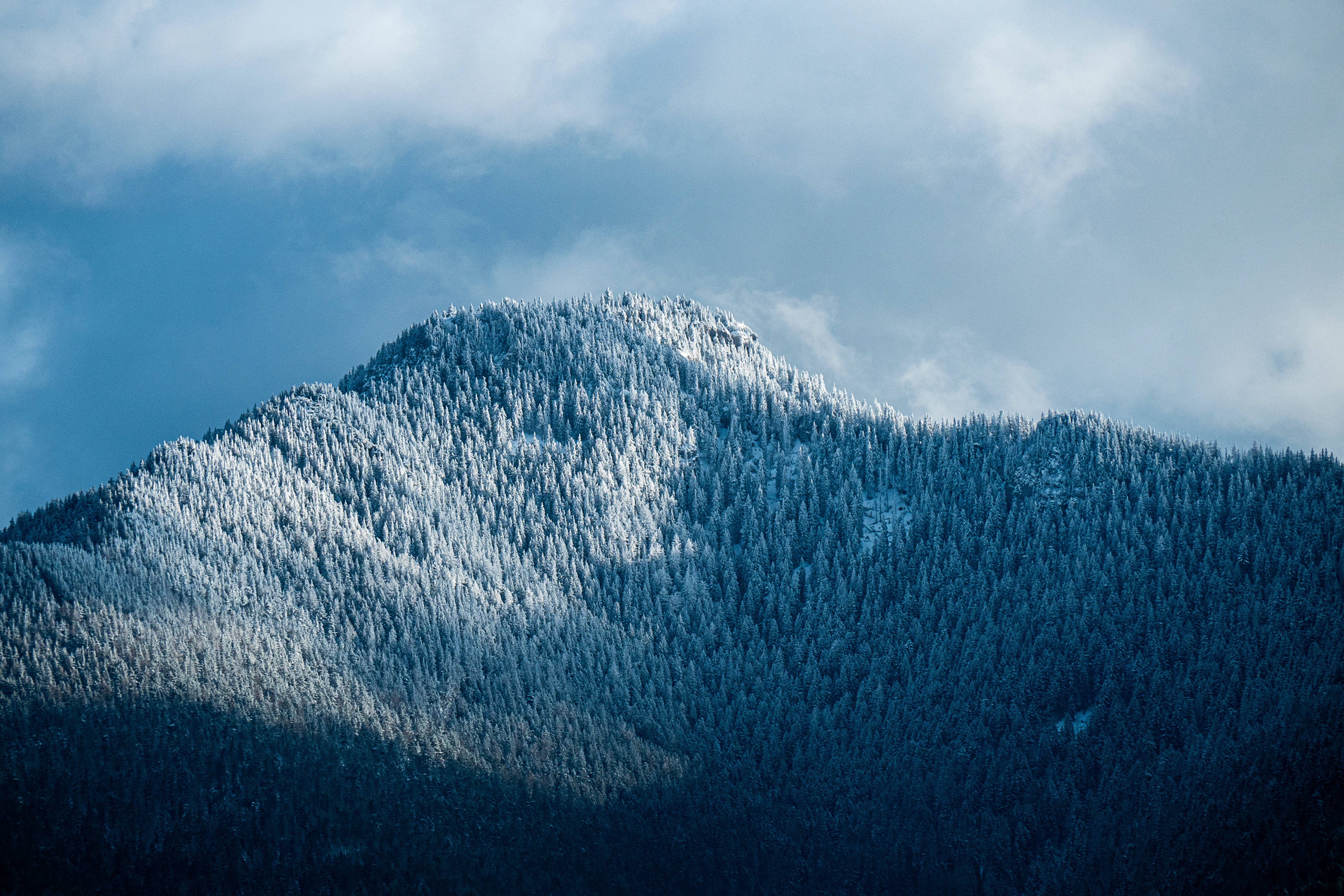 Slovakia 桌布 壁紙 — 白雪覆蓋的山峰在陰天中聳立，陽光突出其森林覆蓋的山坡。