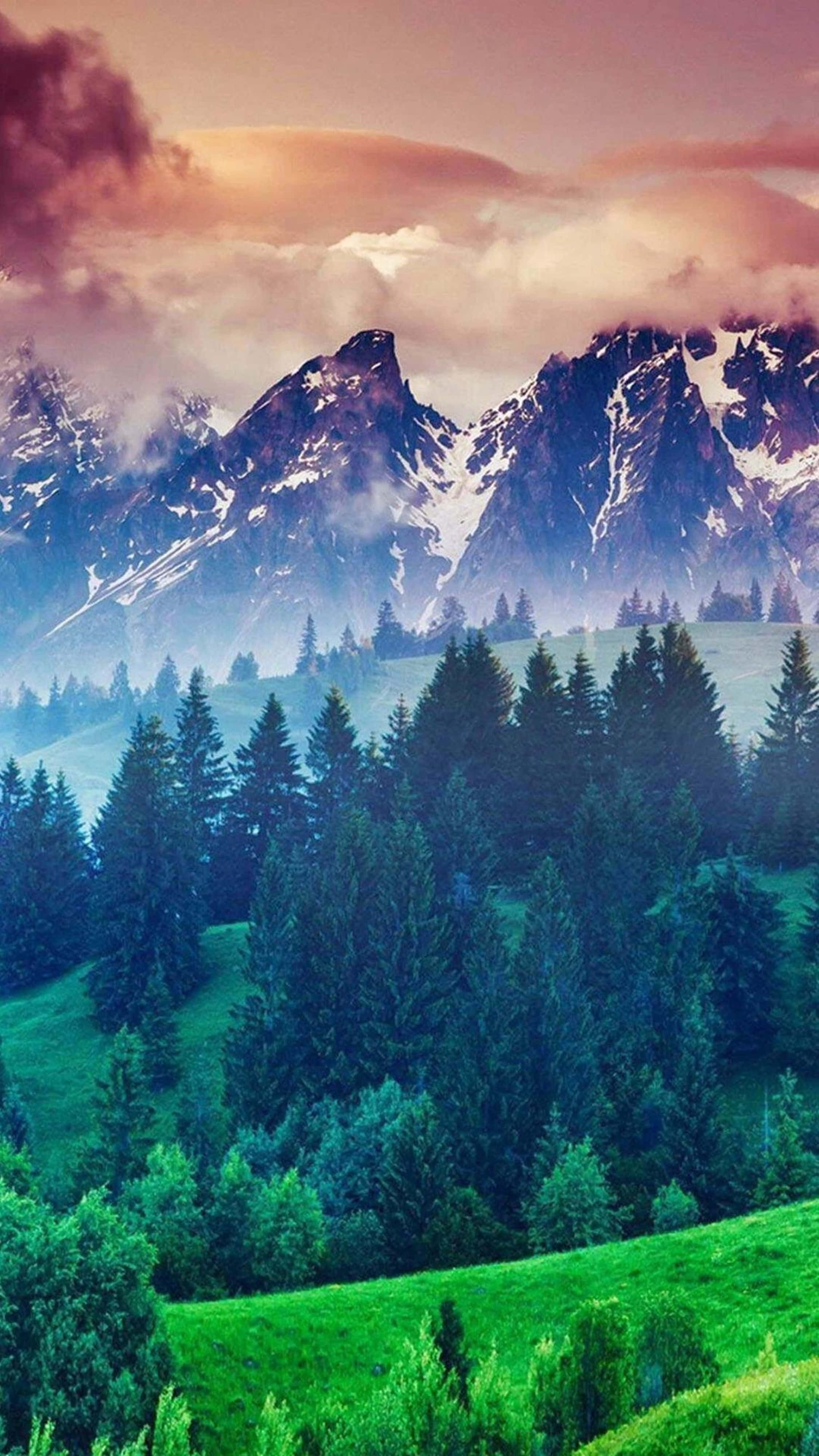 Nature Scenes 桌布 壁紙 — 白雪覆蓋的山峰在霧氣瀰漫的森林和充滿活力的綠色山丘之上，在柔和的粉紅色和橙色天空下升起。