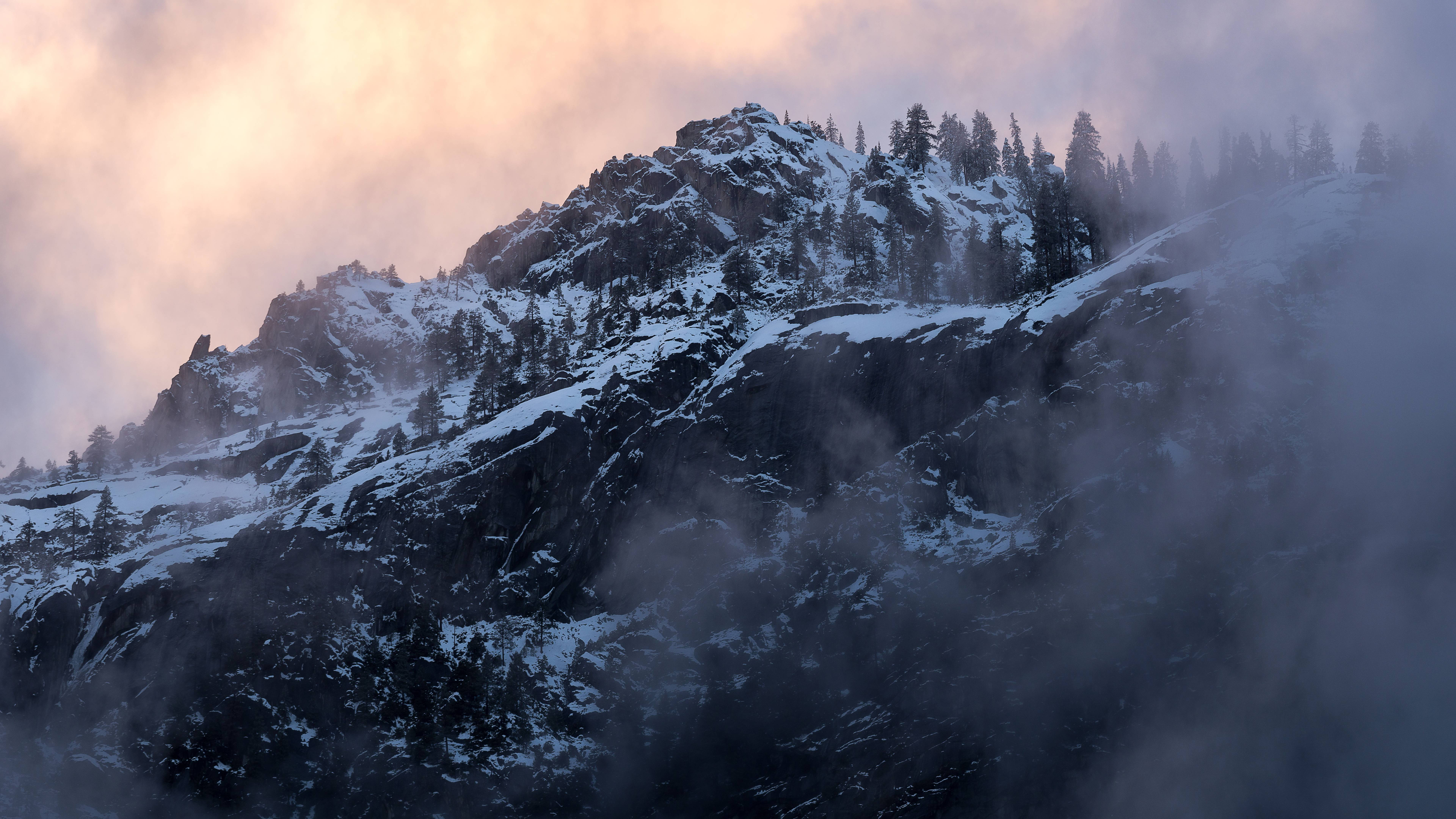山景 桌布 壁紙 — 白雪覆蓋的山峰在黎明時分穿透霧雲，松樹緊貼在岩石斜坡上。