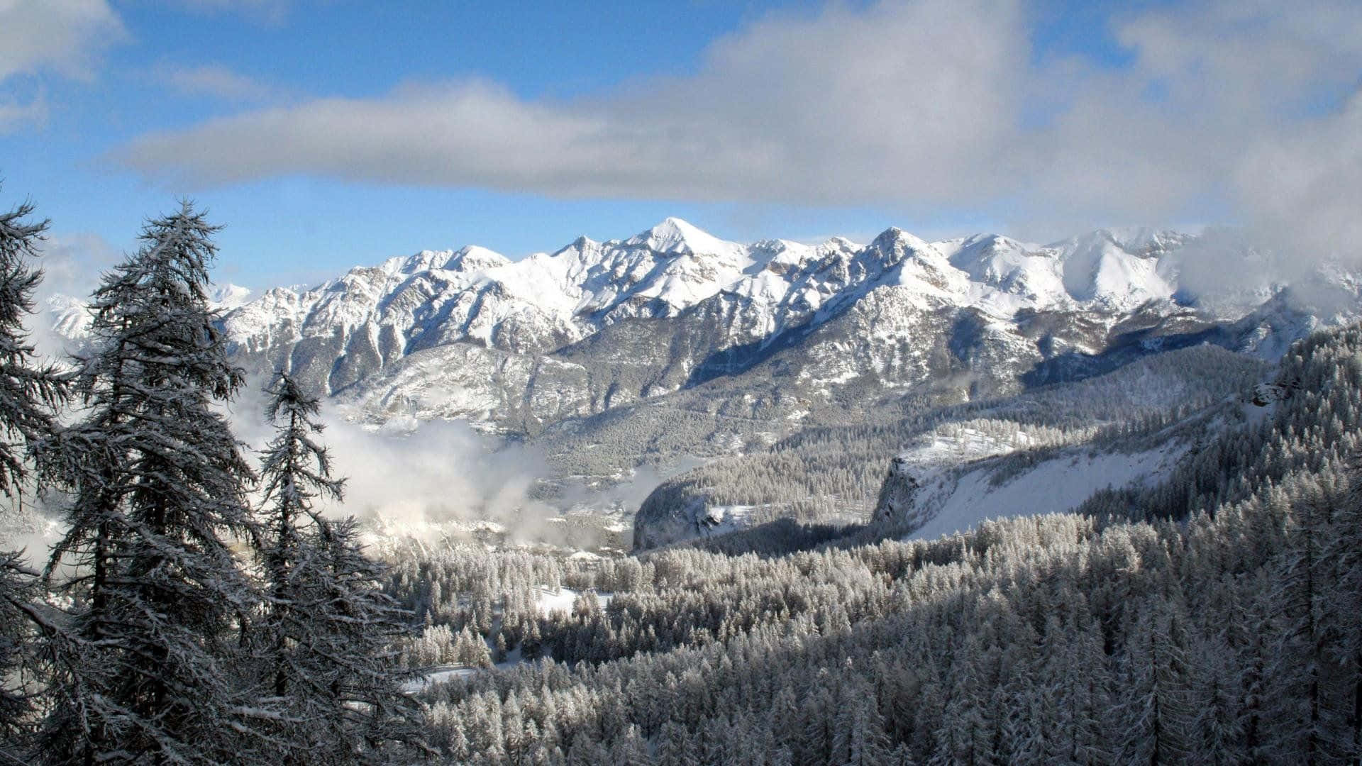 Winter Landscape 桌布 壁紙 — 白雪覆蓋的山峰聳立在一個被霜凍覆蓋的常綠樹所覆蓋的山谷之上，天空部分多雲，呈現藍色。