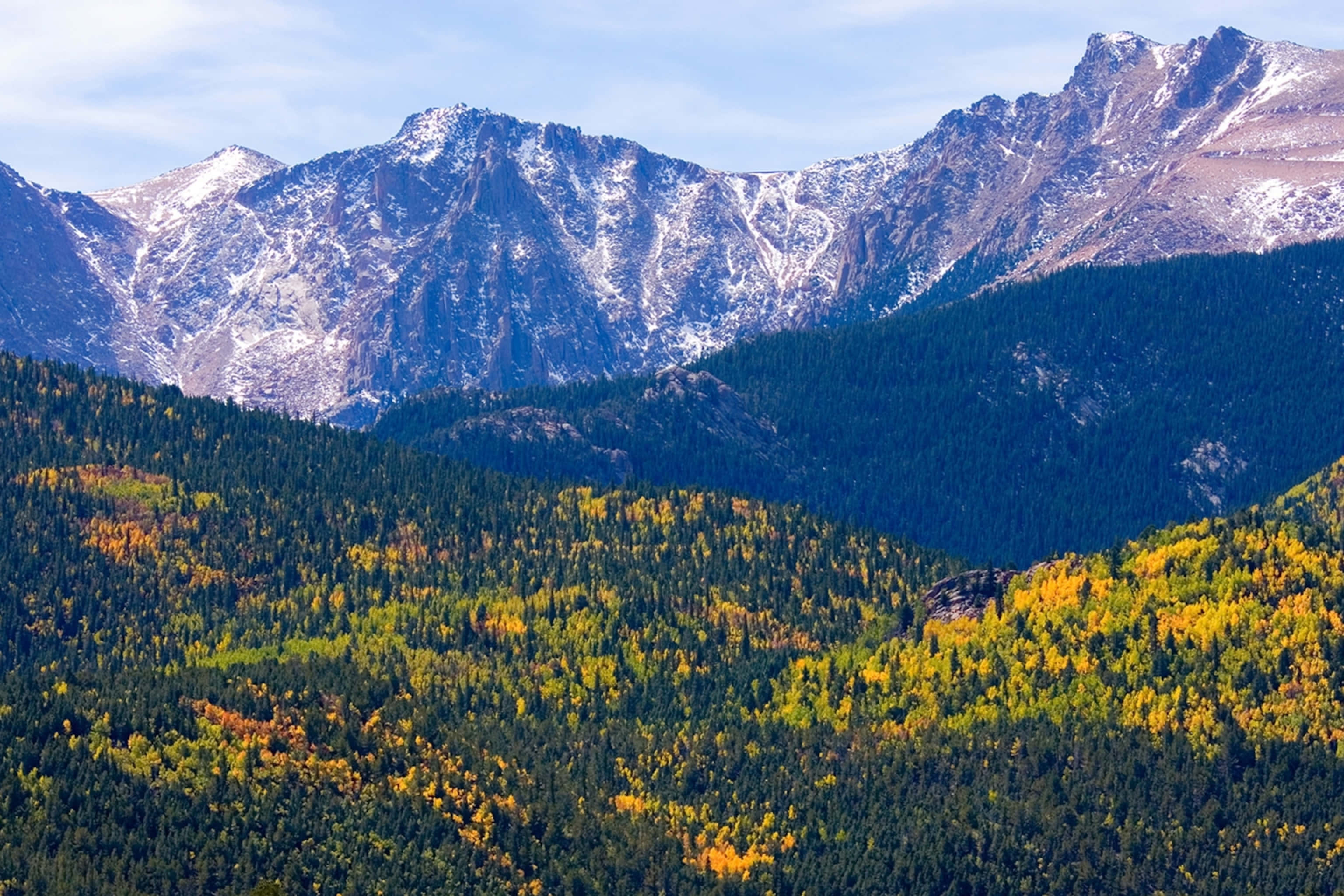 Colorado Mountain 桌布 壁紙 — 白雪覆蓋的山峰聳立在金色秋葉燃燒的森林之上，天空清澈湛藍。