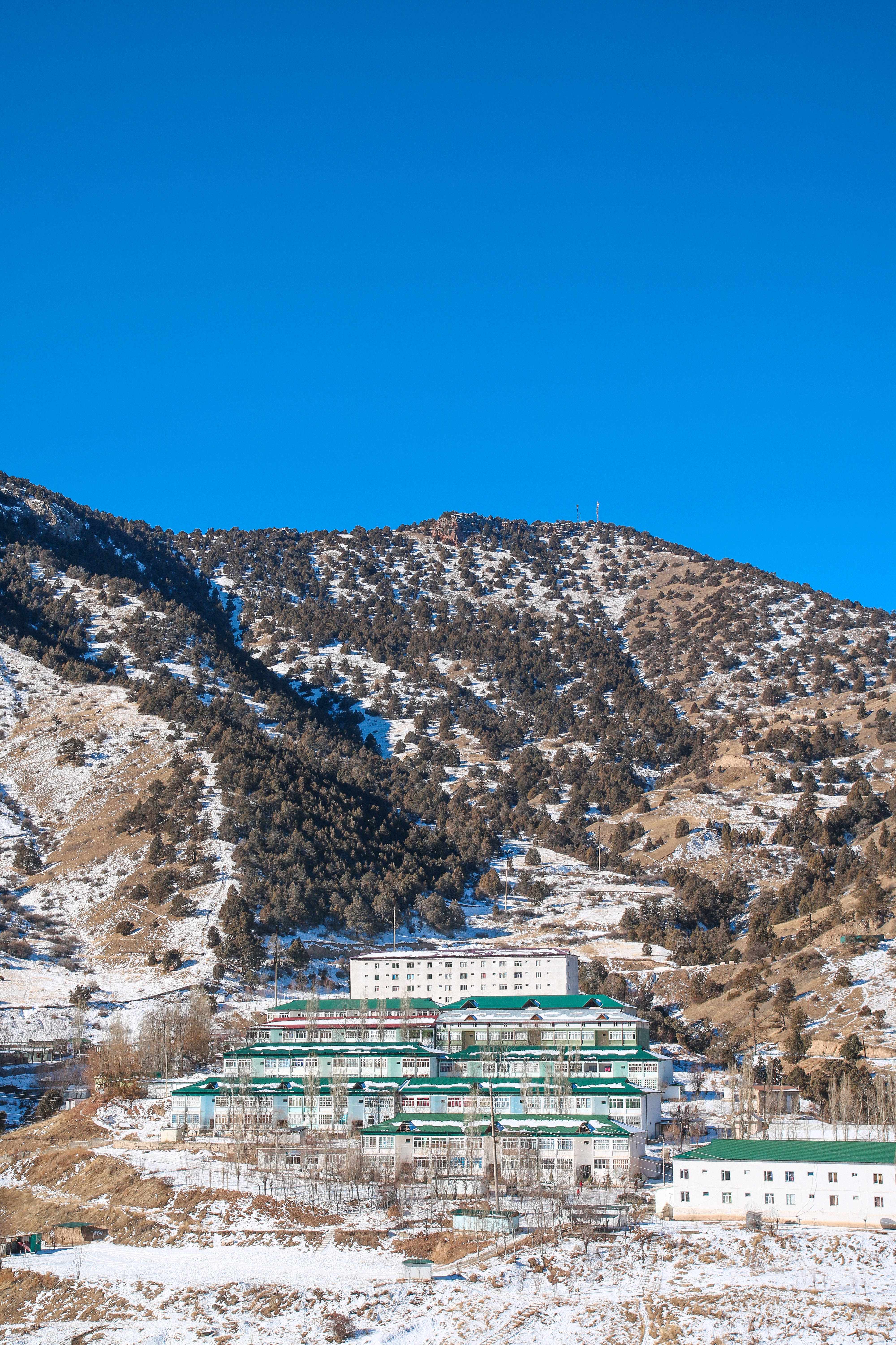 Uzbekistan 桌布 壁紙 — 白雪覆蓋的山脈在晴朗藍天下，聳立於一群綠色屋頂的白色建築物後方。