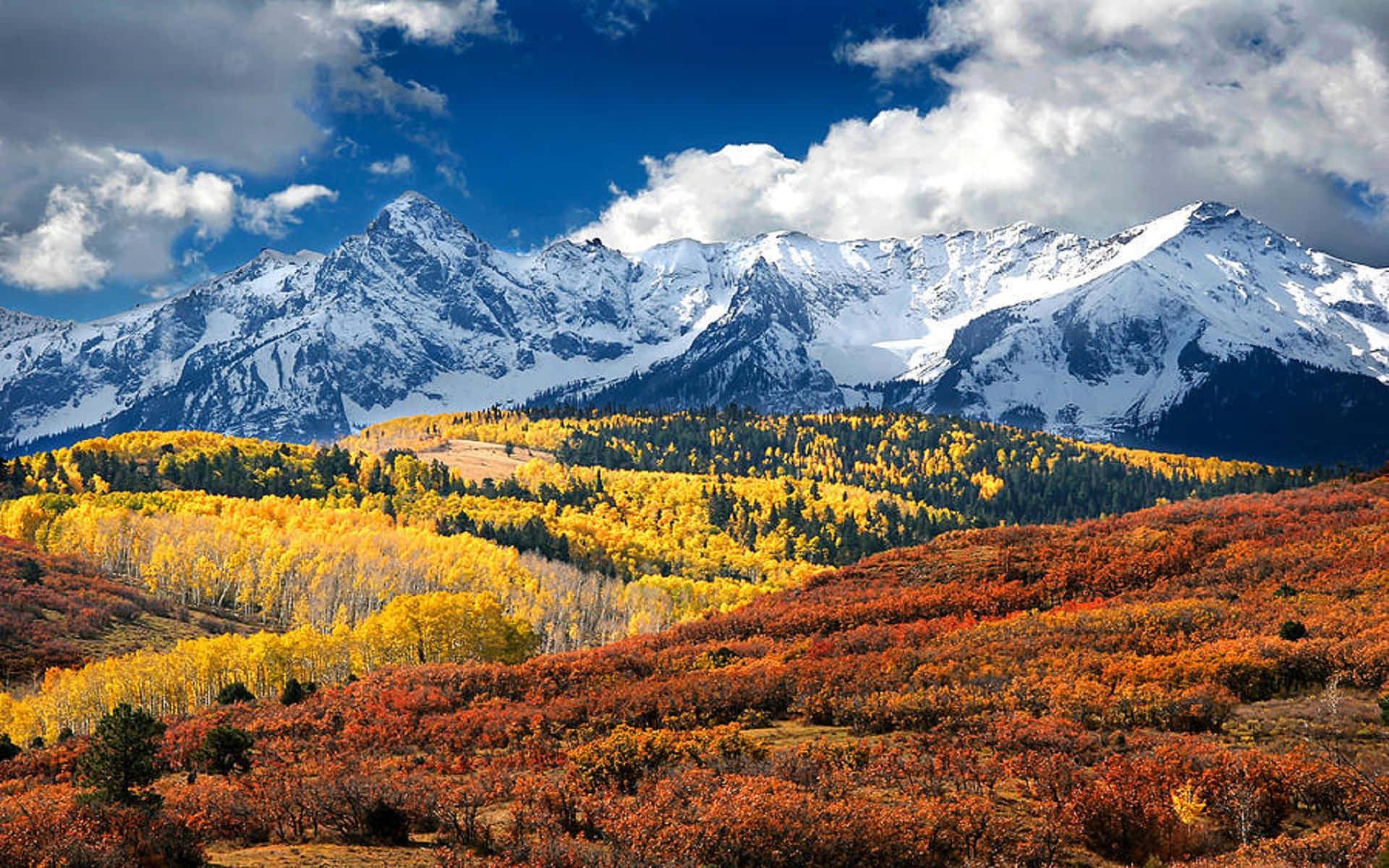 Colorado 桌布 壁紙 — 白雪覆蓋的山脈在秋日金黃與火紅色彩斑斕的起伏丘陵後方升起，襯托著戲劇性的藍天。