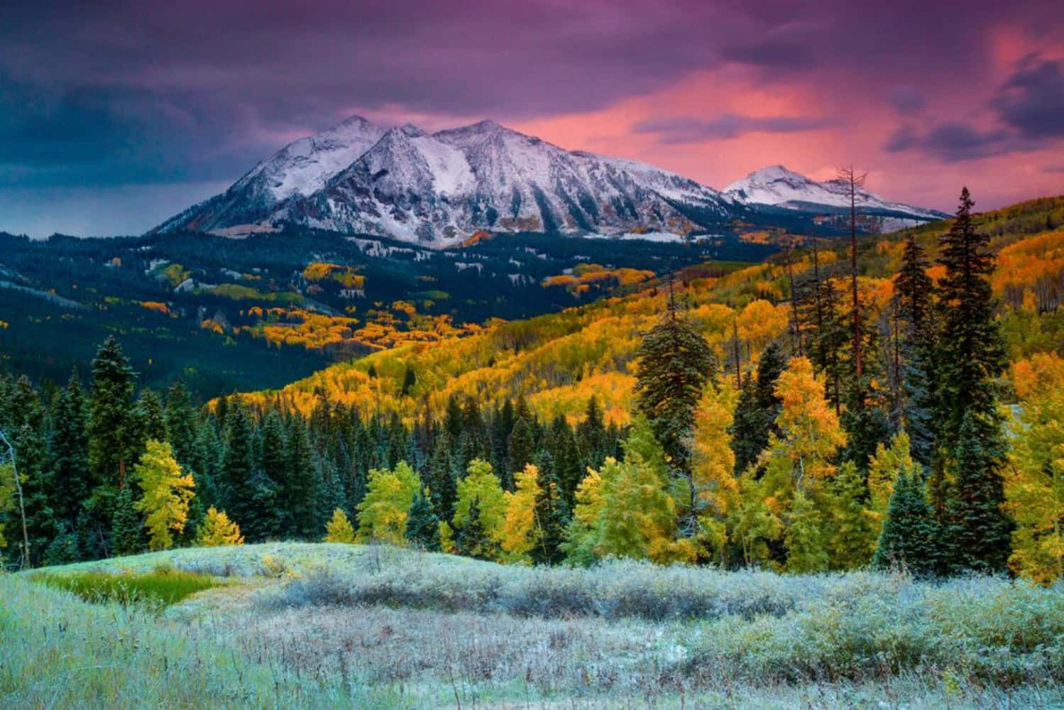Colorado 桌布 壁紙 — 白雪覆蓋的山脈聳立在金色白楊樹山谷後方，天空呈現戲劇性的粉紫色日落景觀。