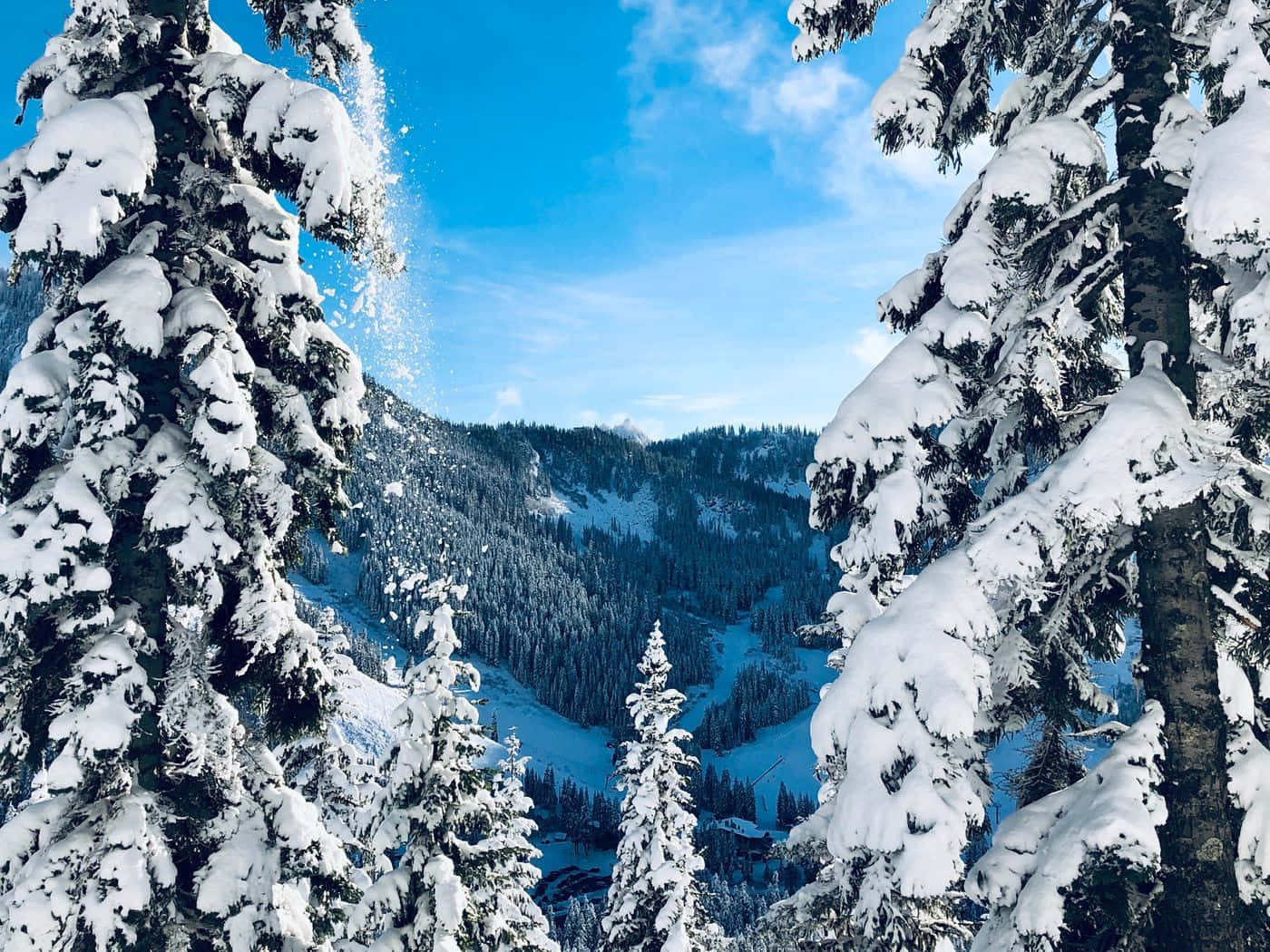 Snowy Landscape 桌布 壁紙 — 白雪覆蓋的常綠樹在清澈藍天與薄雲下，框出令人驚嘆的冬季山谷。