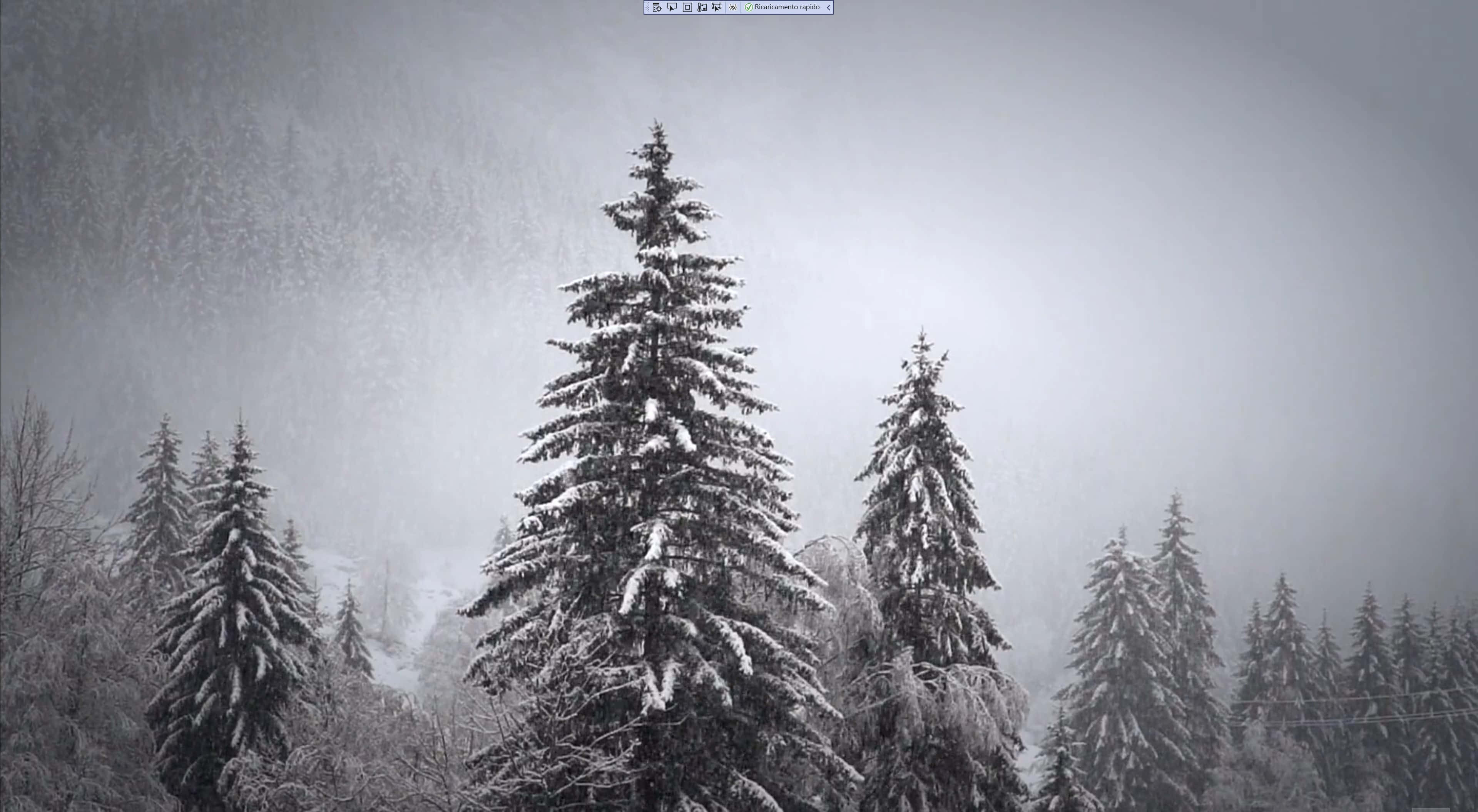 Snowfall 桌布 壁紙 — 白雪覆蓋的常綠樹在灰濛濛的天空下，聳立在霧氣瀰漫的冬日森林中。