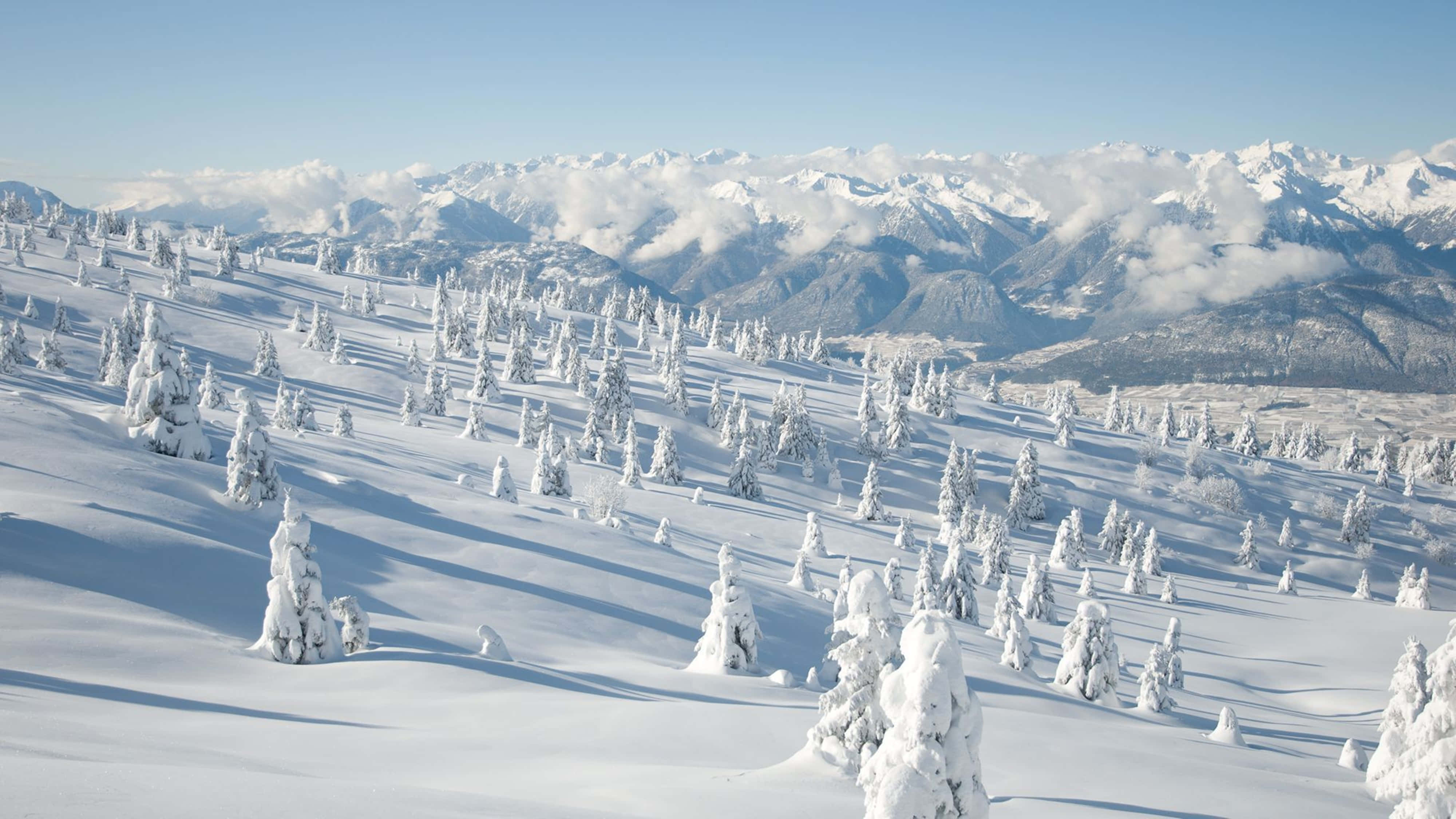 Snow 4K 桌布 壁紙 — 白雪覆蓋的常綠樹點綴在明亮的陽光山坡上，遠處有山峰和雲朵，在清澈的藍天下。
