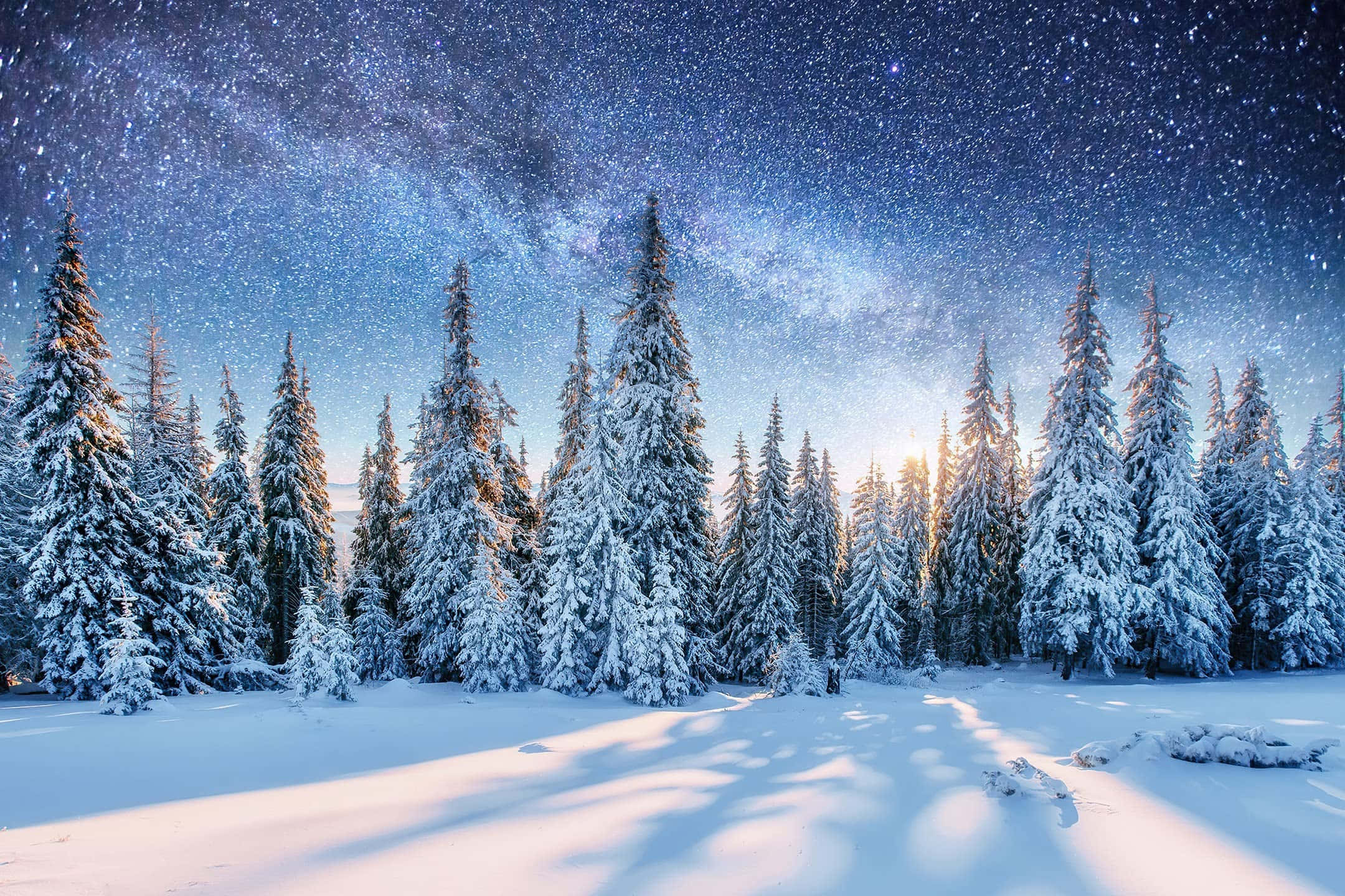 雪景 桌布 壁紙 — 白雪覆蓋的松樹在令人嘆為觀止的星空下高聳，銀河在上方閃耀。