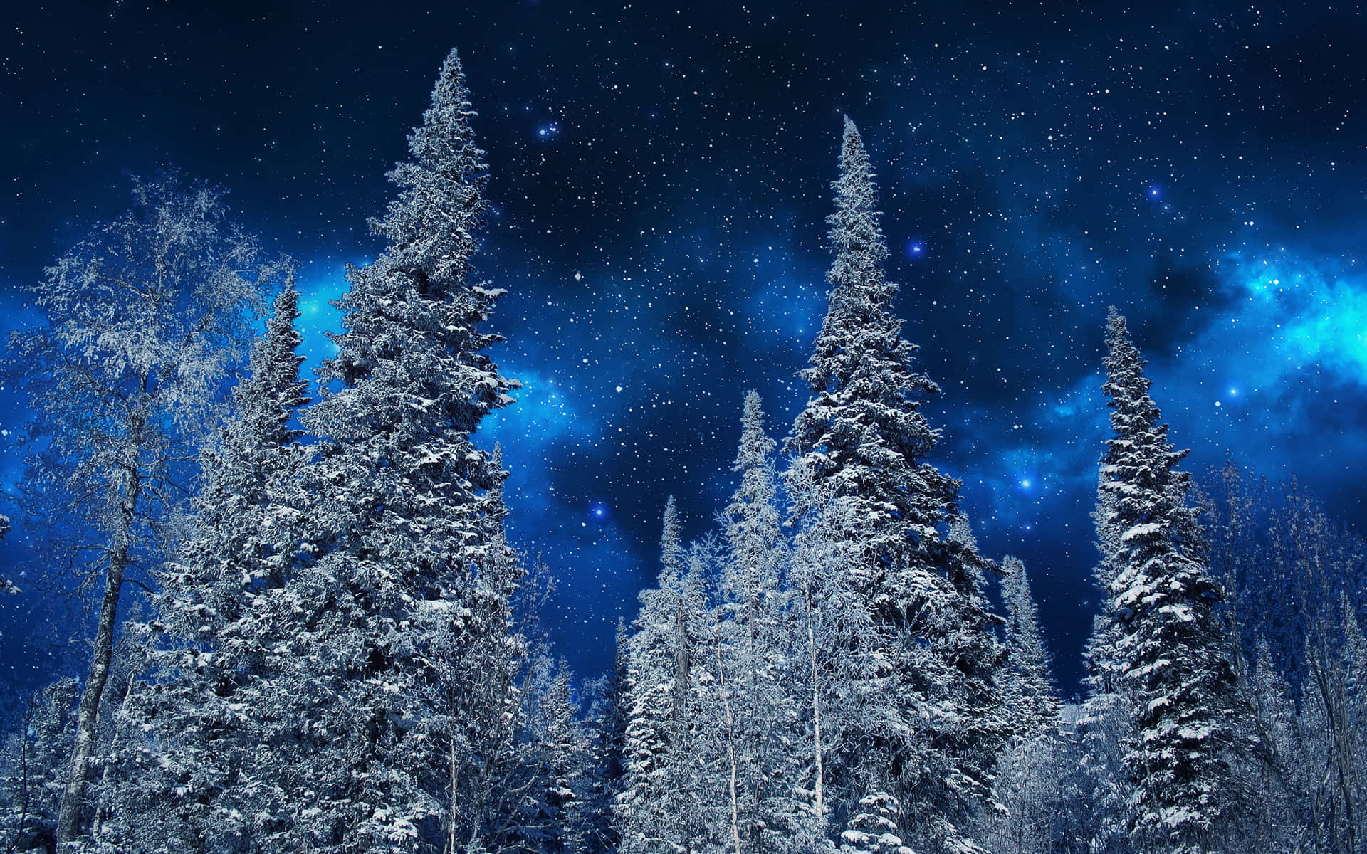 桌布 壁紙 — 白雪覆蓋的松樹在充滿活力的星空夜空下高聳，夜空閃爍著宇宙藍色星雲。