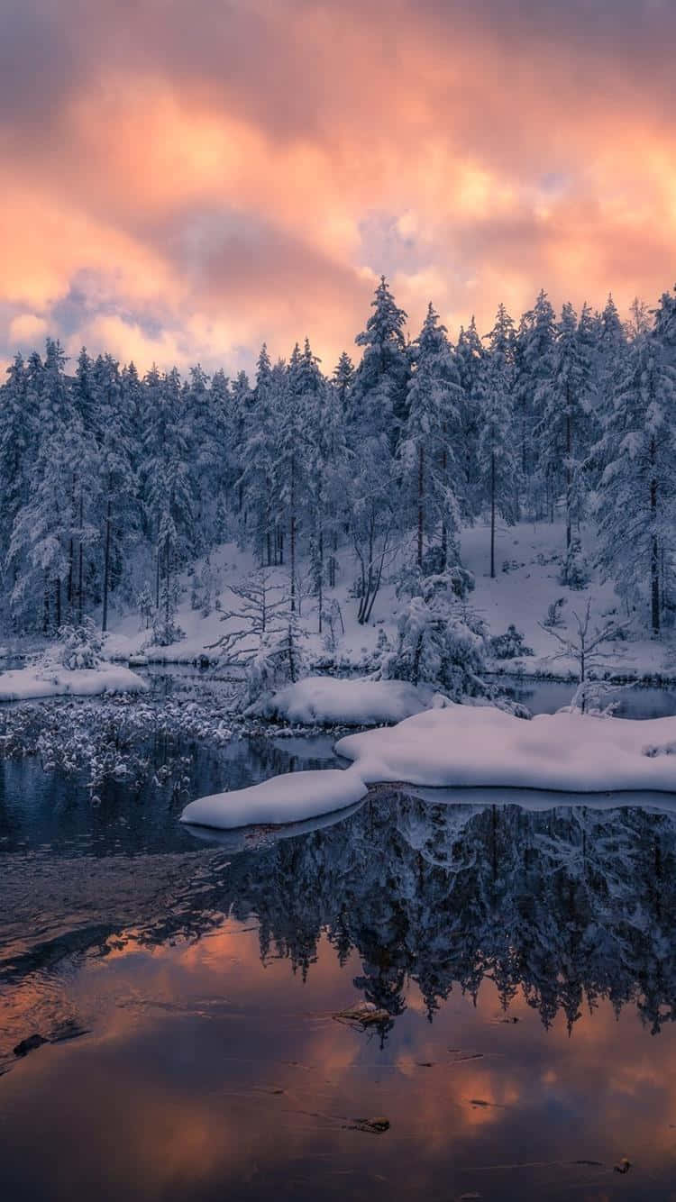 挪威 桌布 壁紙 — 白雪覆蓋的松樹在平靜的河面上倒映，天空呈現出充滿活力的粉紅色和橙色日落。