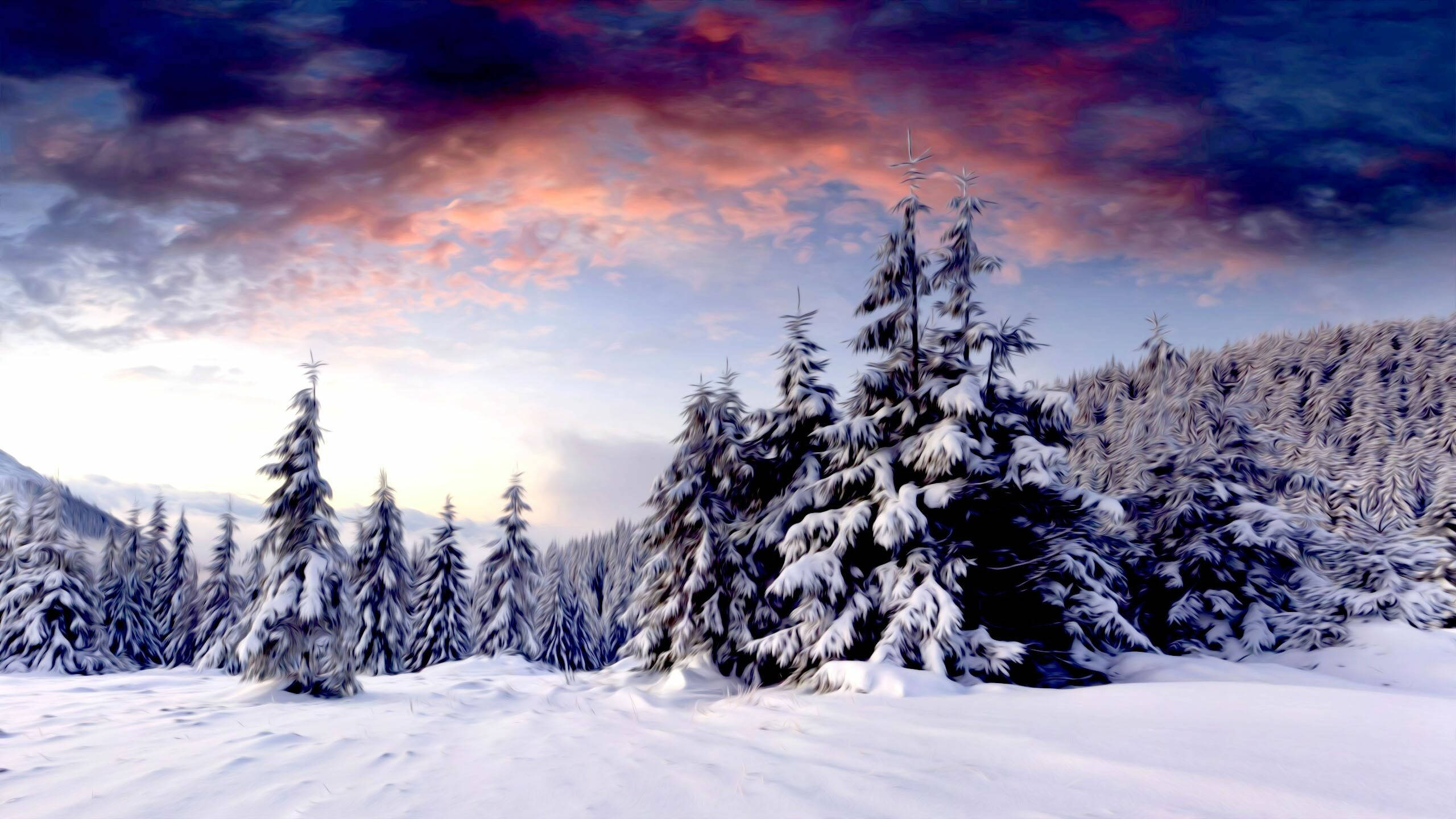 Clouds Aesthetics 桌布 壁紙 — 白雪覆蓋的松樹在戲劇性的暮色天空下高高聳立，天空被火橙色和深紫色的雲彩塗抹。
