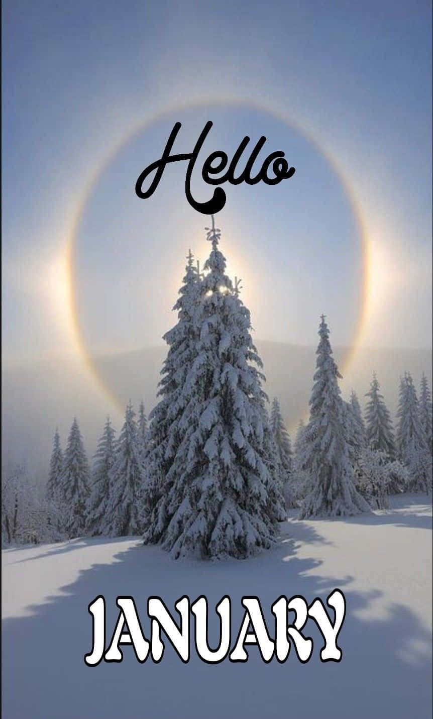 一月 桌布 壁紙 — 白雪覆蓋的松樹在明亮的太陽光環下，襯托著清澈的藍天，上面寫著「Hello JANUARY」。
