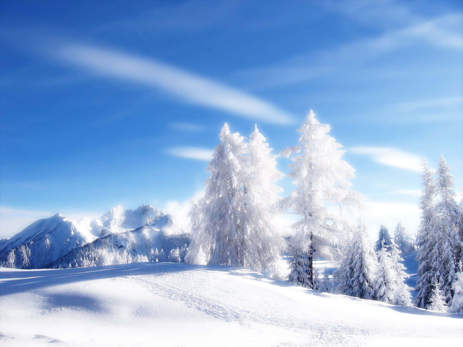 Snowy Landscape 桌布 壁紙 — 白雪覆蓋的松樹在明亮的藍天和輕柔雲朵下，聳立在寧靜的冬季山景中。