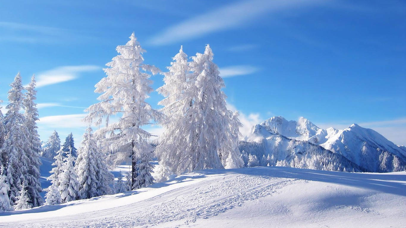 冬天 桌布 壁紙 — 白雪覆蓋的松樹在晴朗的藍天下高聳，遠處有白雪覆蓋的山脈，陽光燦爛。