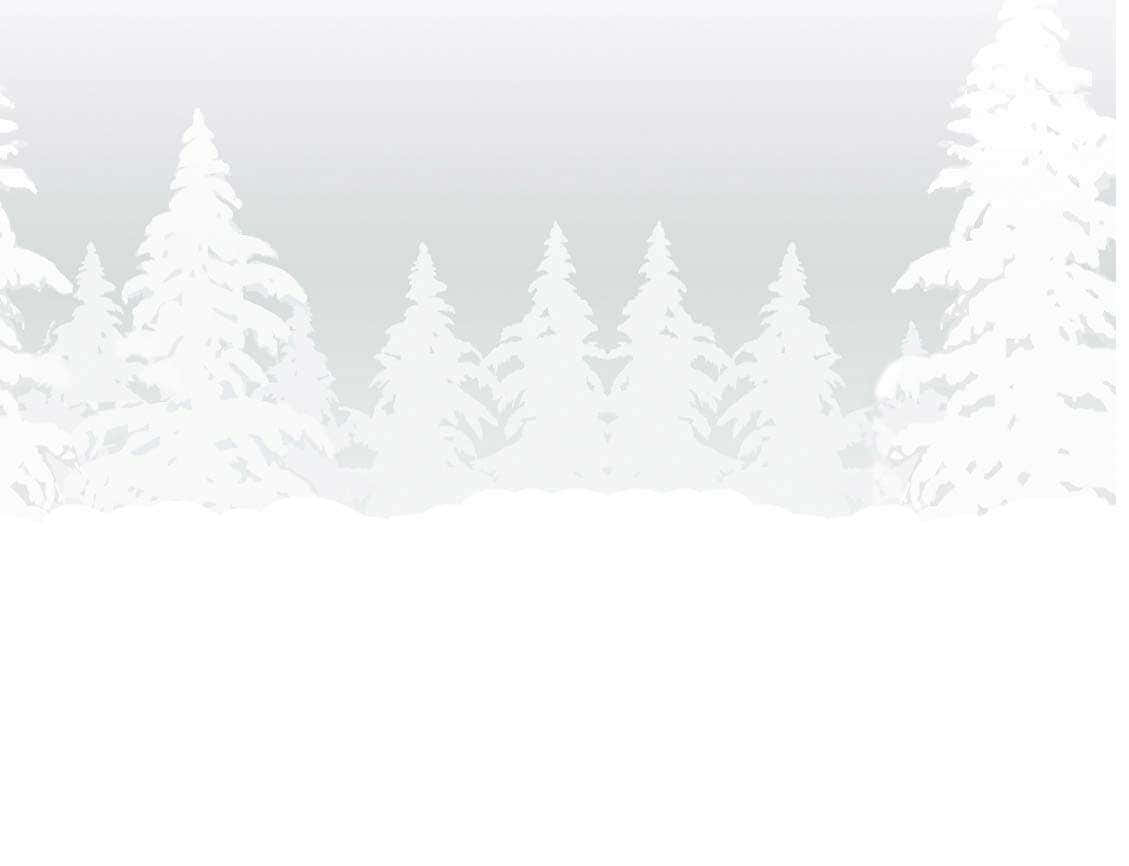 White Snow 桌布 壁紙 — 白雪覆蓋的松樹在柔和漸變的冬日光線中，襯著蒼白的天空。