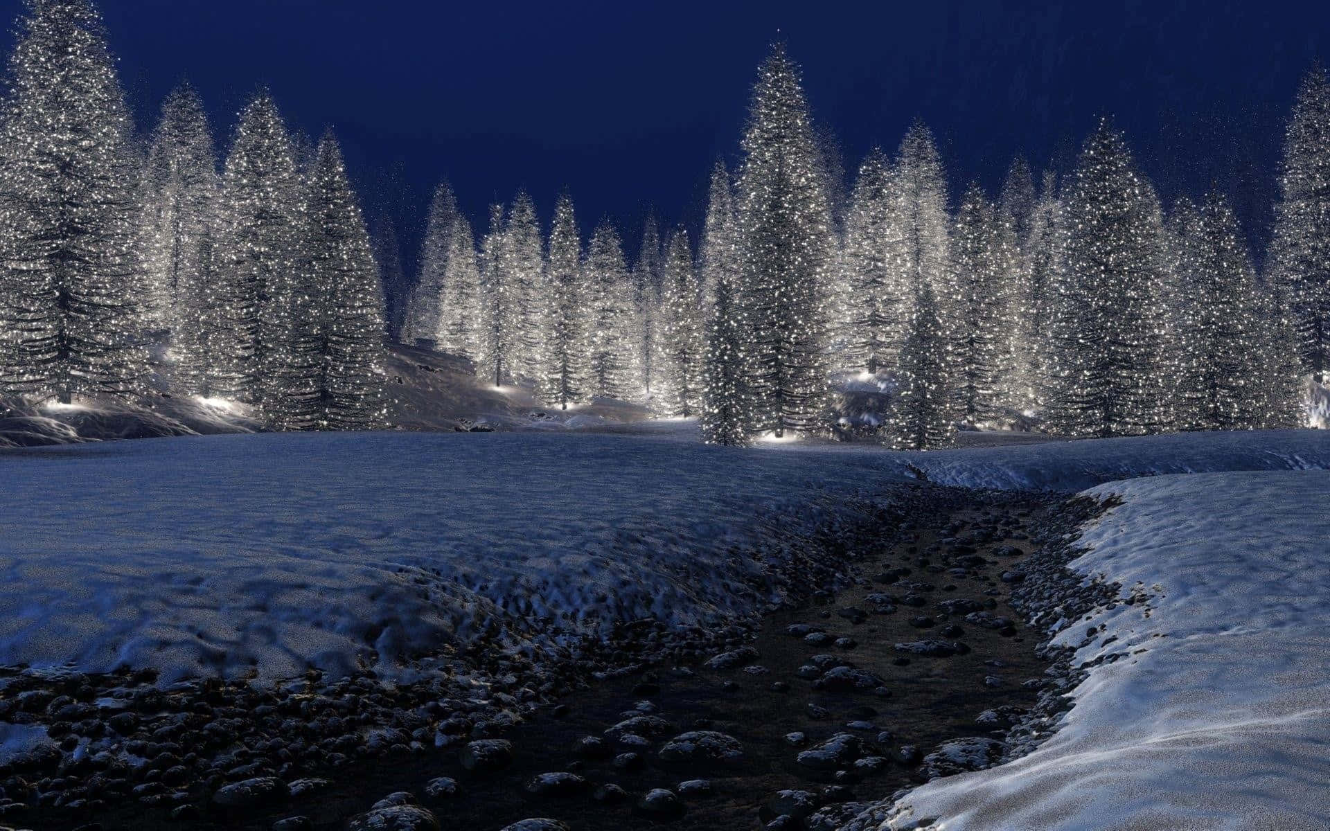 Best Winter 桌布 壁紙 — 白雪覆蓋的松樹在深藍色夜空下，在灑滿雪的河岸旁，散發著內嵌燈光的光芒。