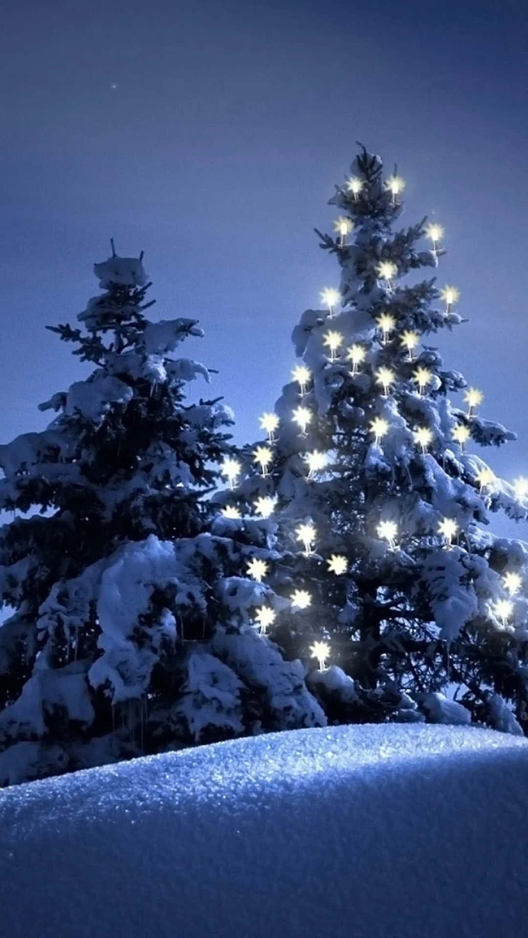 聖誕節 桌布 壁紙 — 白雪覆蓋的松樹在深藍色夜空下閃爍著明亮的星形燈光。