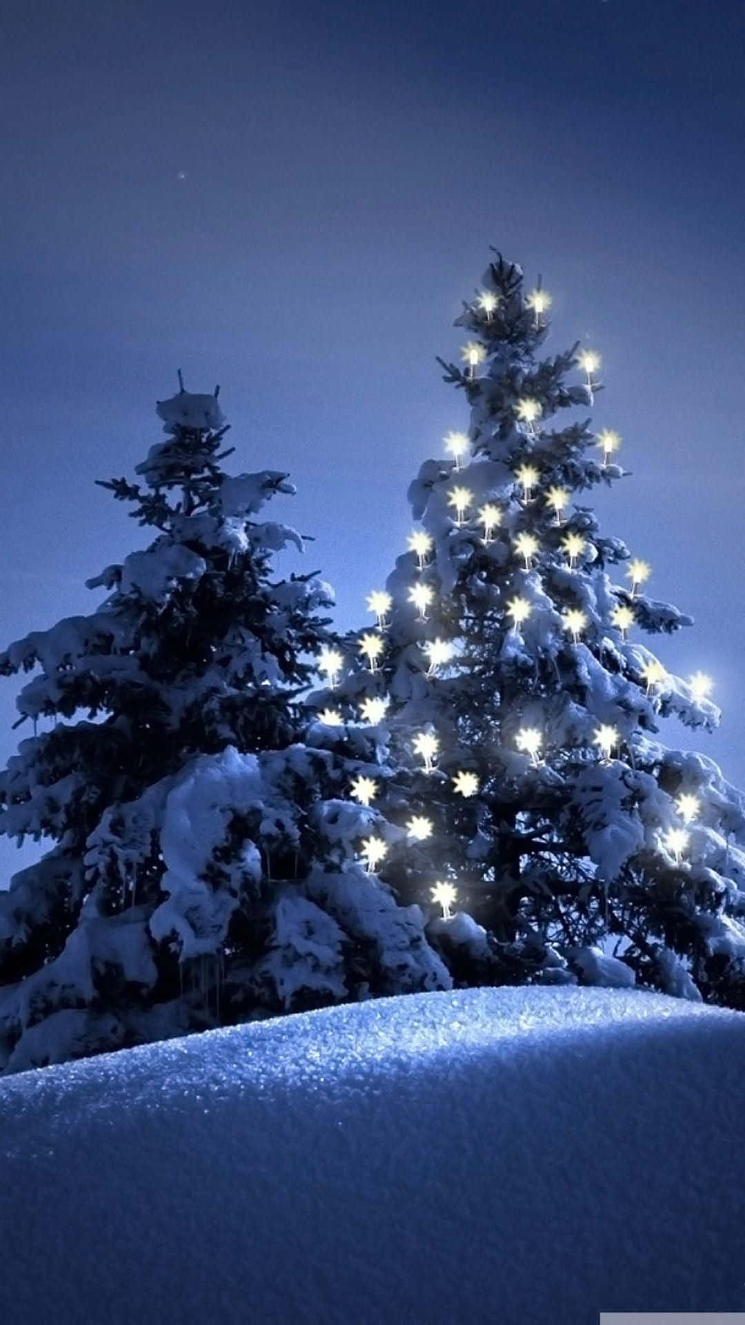 Snow iPhone 桌布 壁紙 — 白雪覆蓋的松樹在深藍色的冬夜天空中閃爍著溫暖的光芒。