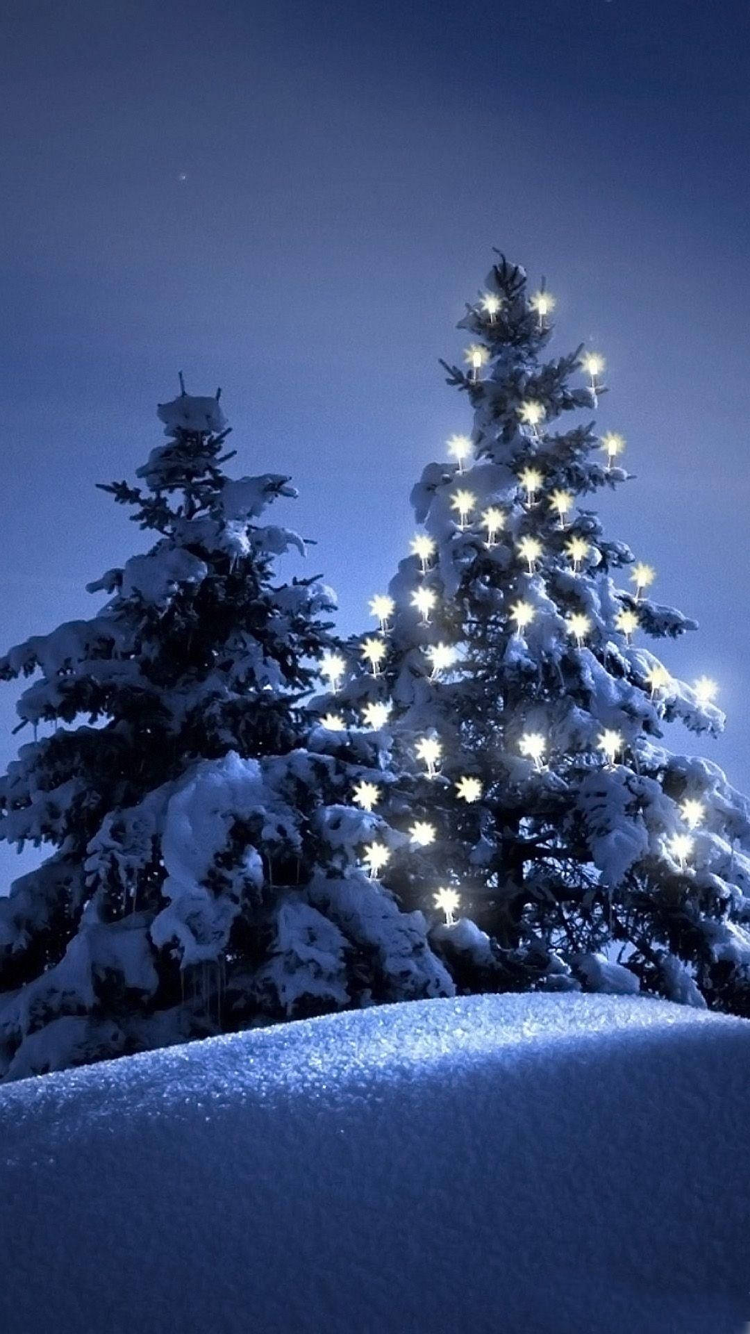 Christmas Lights iPhone 桌布 壁紙 — 白雪覆蓋的松樹在深藍色的冬夜天空中閃爍著溫暖的串燈。