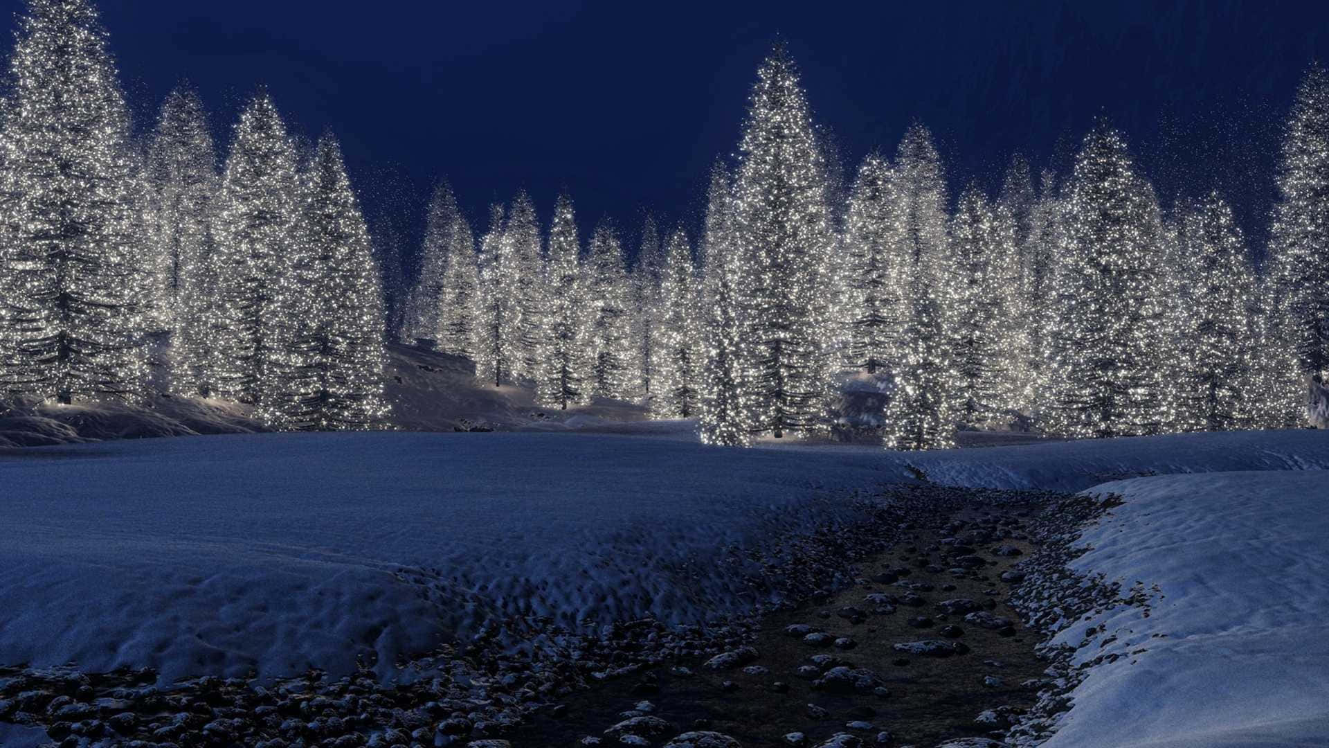 Winter Scenery Desktop 桌布 壁紙 — 白雪覆蓋的松樹在結冰的湖附近黑暗的冬日天空下，閃爍著嵌入的燈光。