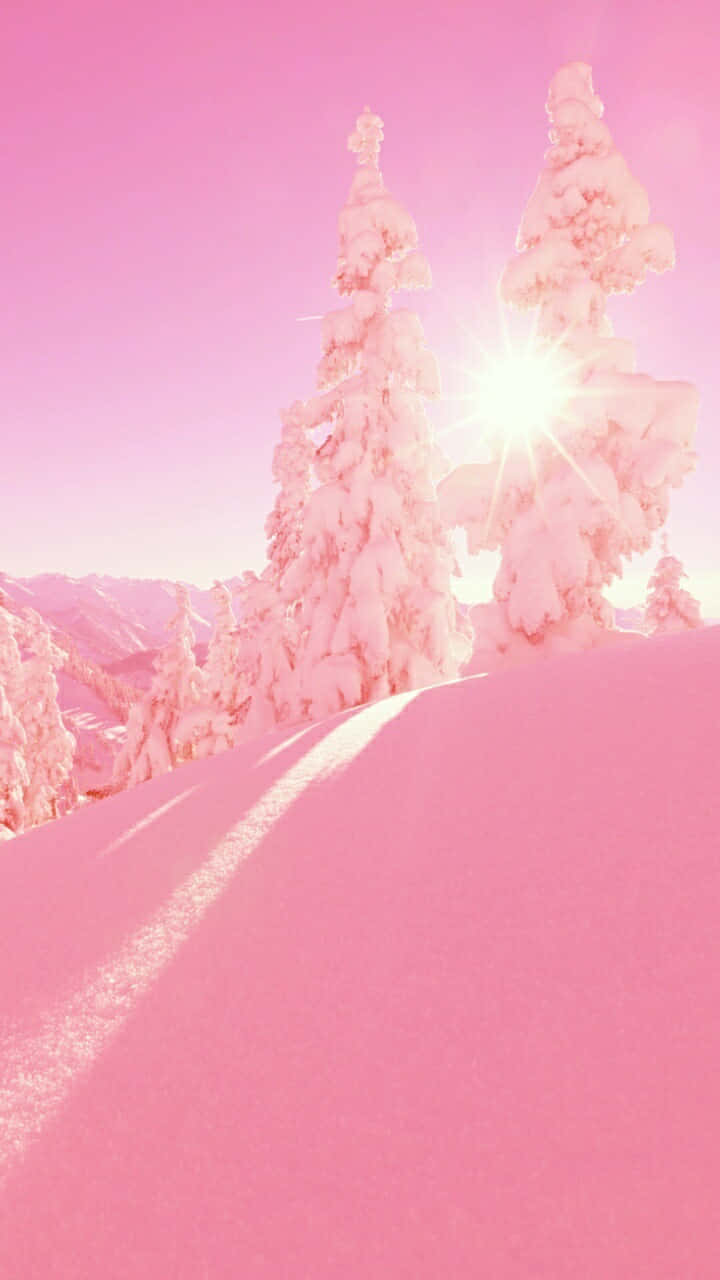 Cute Aesthetic iPad 桌布 壁紙 — 白雪覆蓋的松樹在超現實的冬季景觀中，在燦爛的陽光下閃耀著粉紅色的光芒。