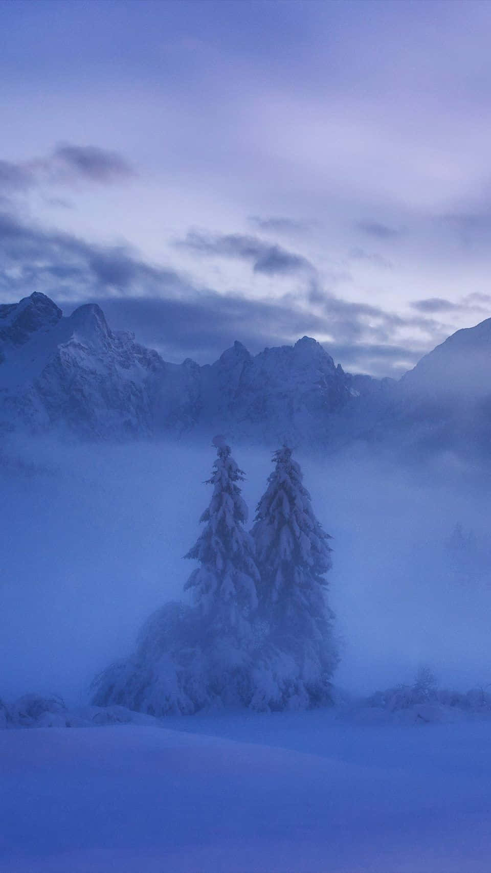 dreamy 桌布 壁紙 — 白雪覆蓋的松樹在霧氣瀰漫的山谷中高聳，下方是鋸齒狀的山峰，上方是暮色藍天。