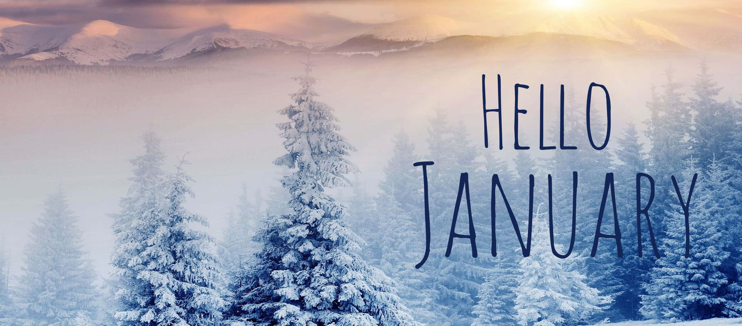 Hello January 桌布 壁紙 — 白雪覆蓋的松樹從霧氣瀰漫的山谷中升起，金色的日出光芒照耀著遠山和文字hello january。