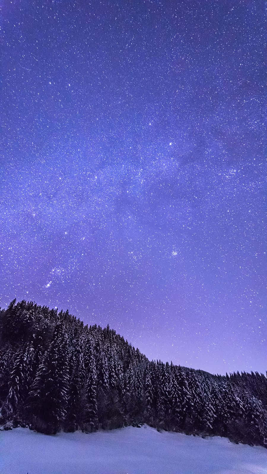 冬天 桌布 壁紙 — 白雪覆蓋的松樹林在充滿無數星星和銀河的鮮豔紫色夜空下呈現剪影。
