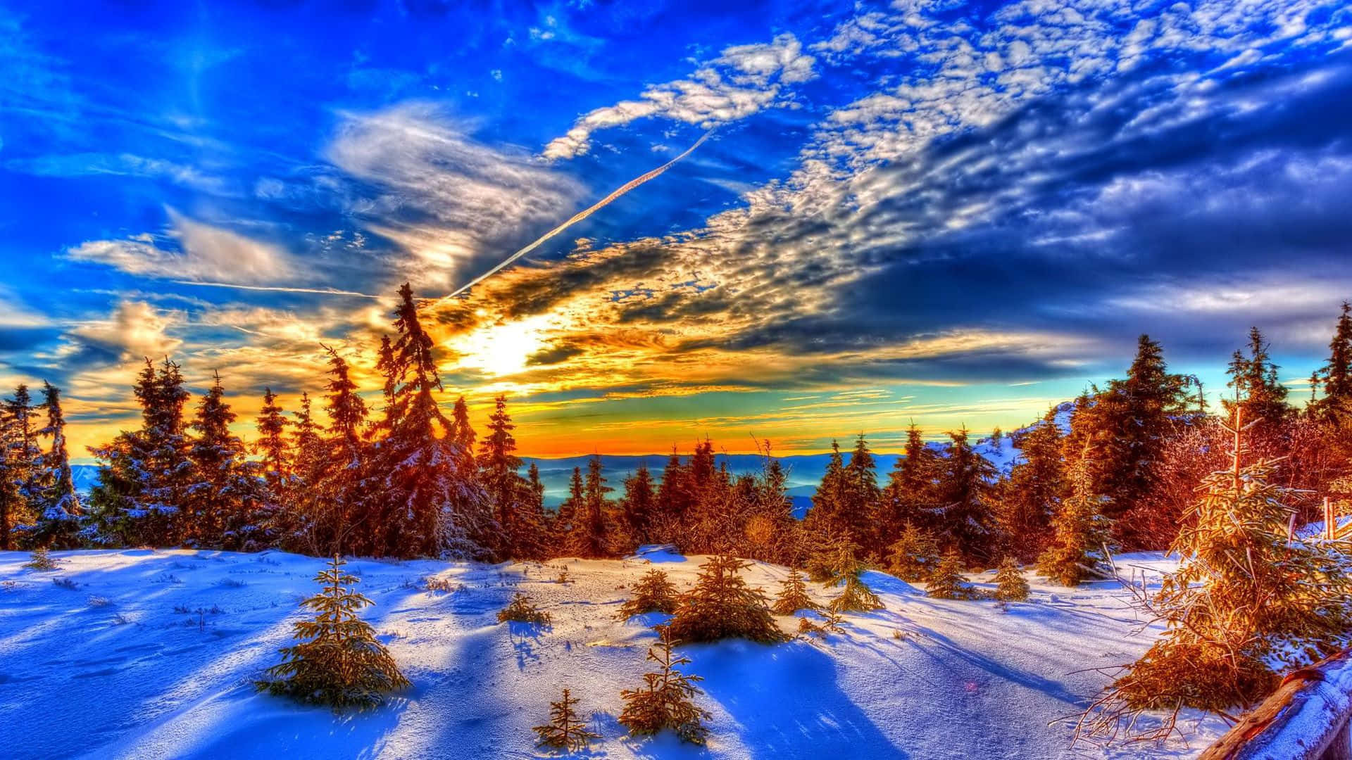 1080p Winter 桌布 壁紙 — 白雪覆蓋的松樹林沐浴在金色夕陽下，背景是戲劇性的藍天和縷縷白雲。