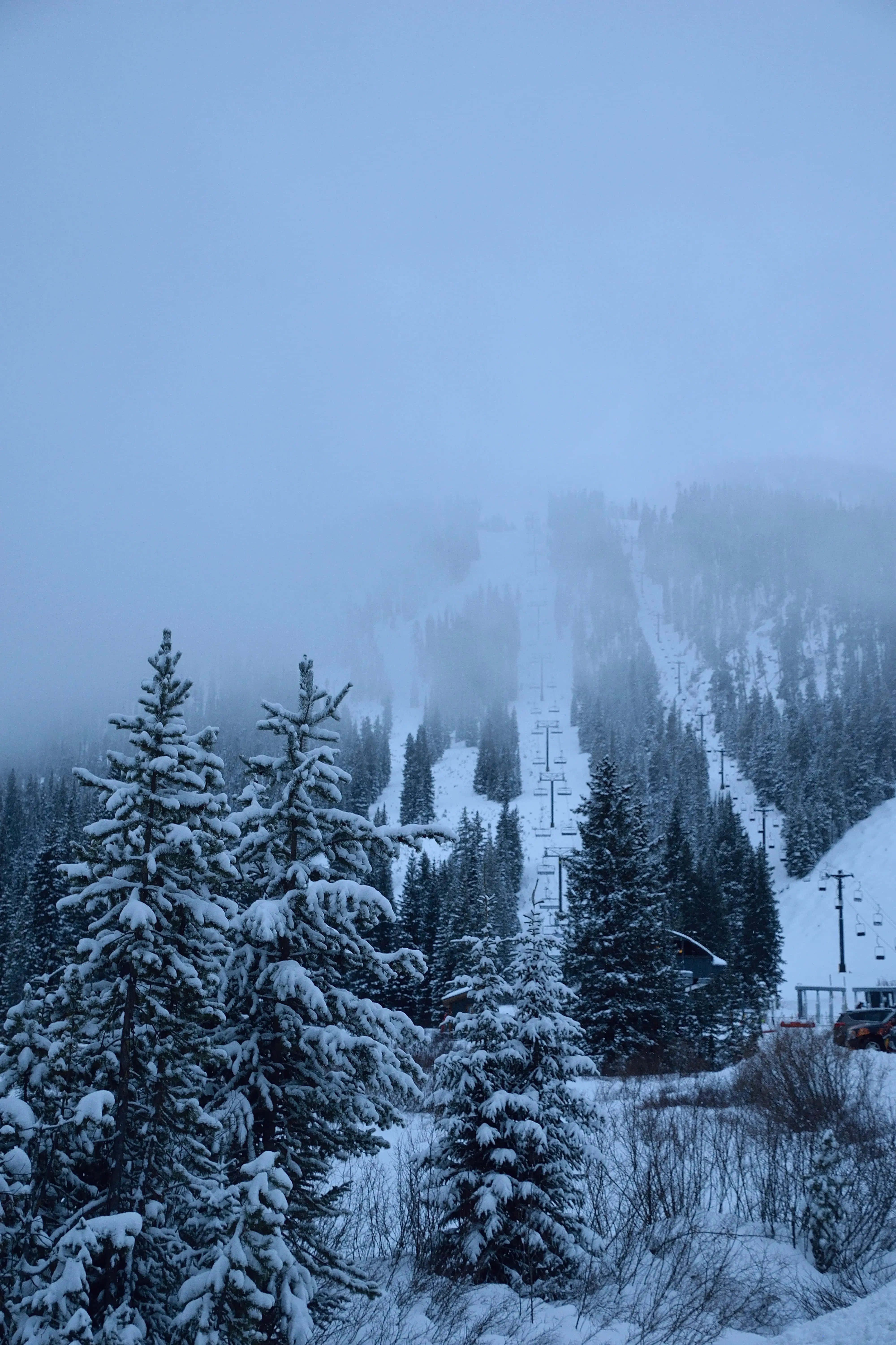 雪景 桌布 壁紙 — 白雪覆蓋的松樹框住了一個霧氣瀰漫的山坡，滑雪纜車在淡藍色的天空下消失在霧中。