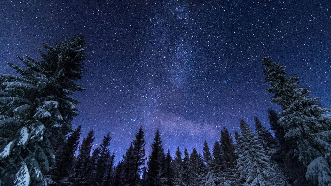 桌布 壁紙 — 白雪覆蓋的松樹框住了銀河在深靛藍色冬夜天空中閃耀的壯麗景色。