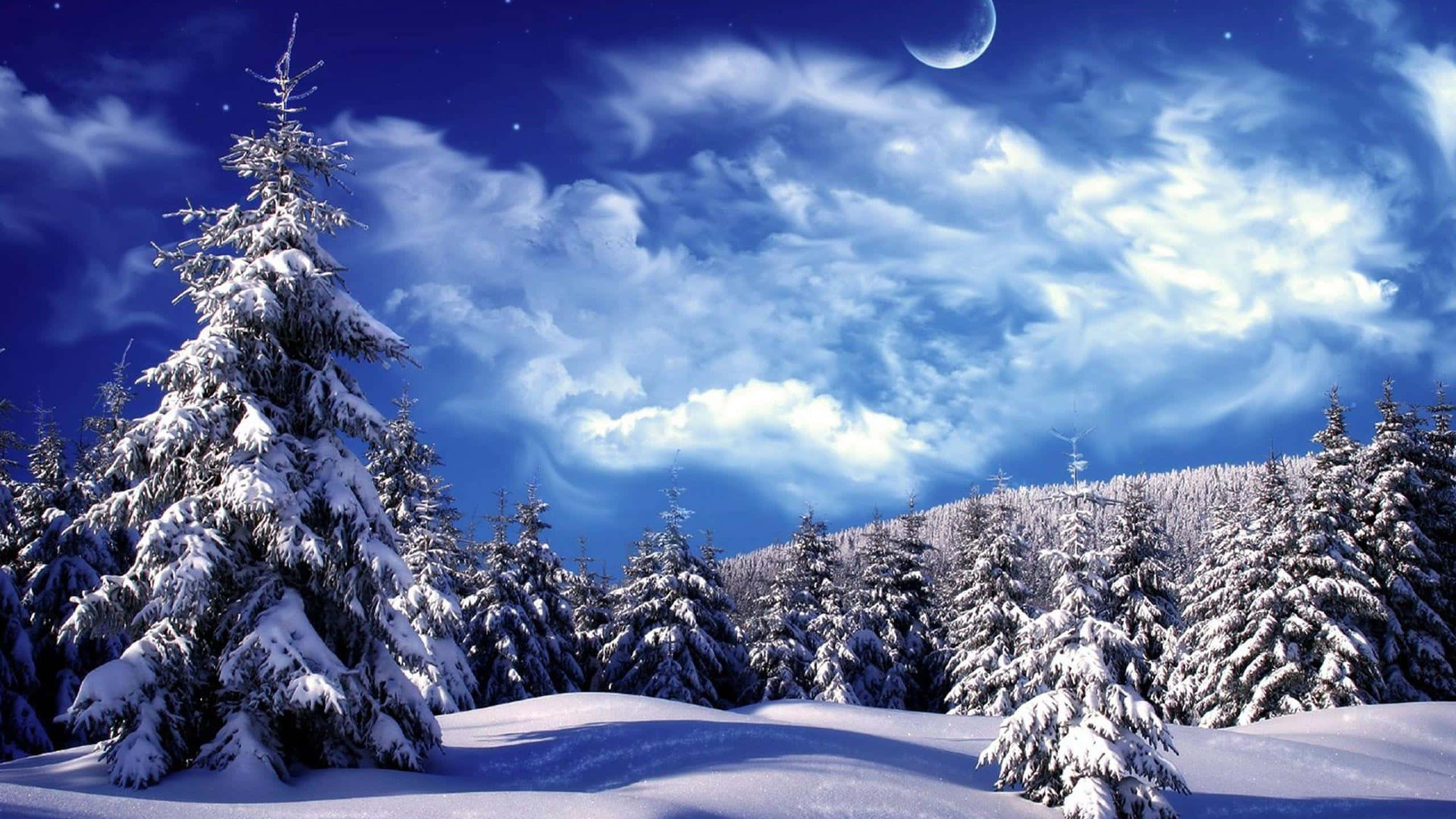 Best Winter 桌布 壁紙 — 白雪覆蓋的松樹矗立在充滿活力的藍色夜空下，夜空中有新月和縷縷雲彩。