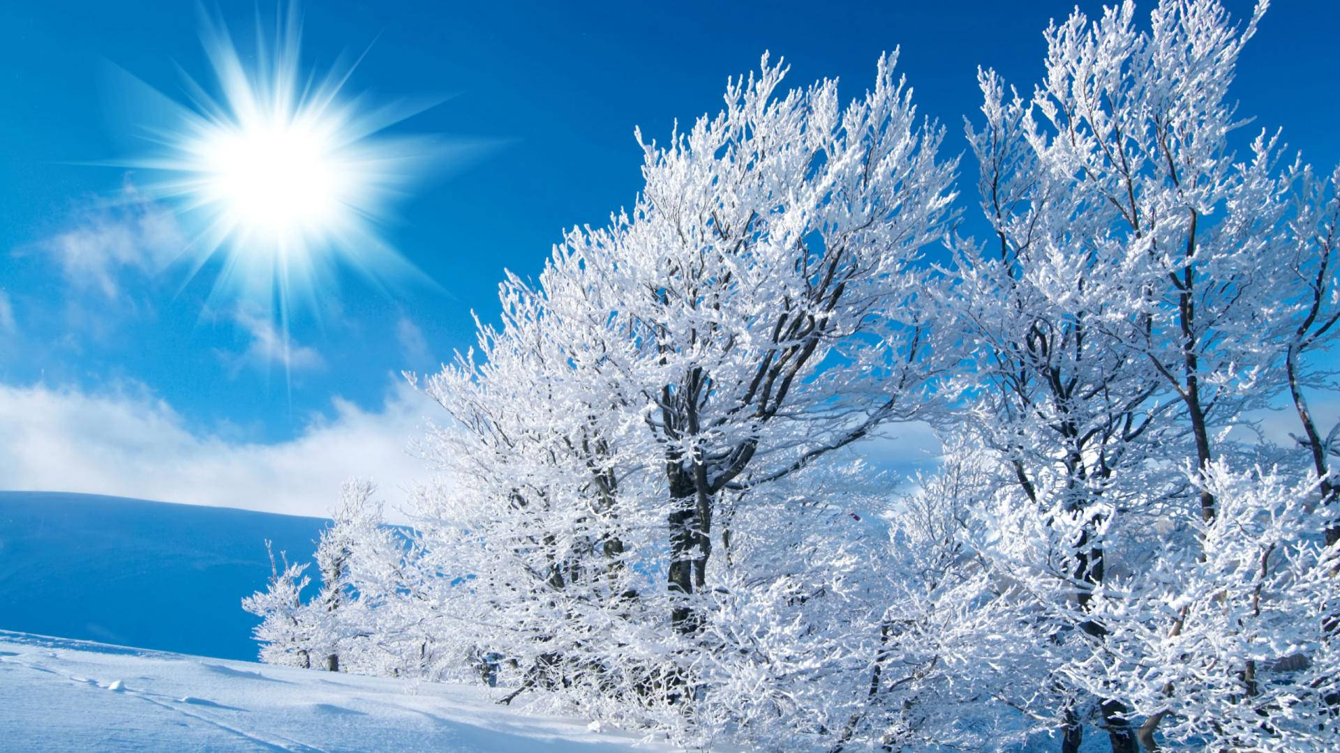 冬季 桌布 壁紙 — 白雪覆蓋的樹木在明亮的陽光下閃閃發光，映襯著帶有縷縷白雲的鮮豔藍天。