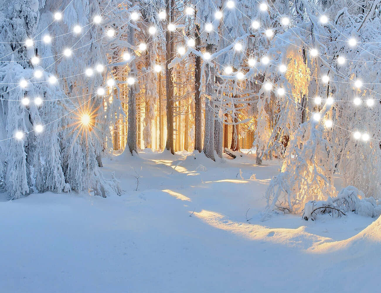 Light 桌布 壁紙 — 白雪覆蓋的樹木在燈串下溫暖地發光，金色的陽光穿過冬季森林。