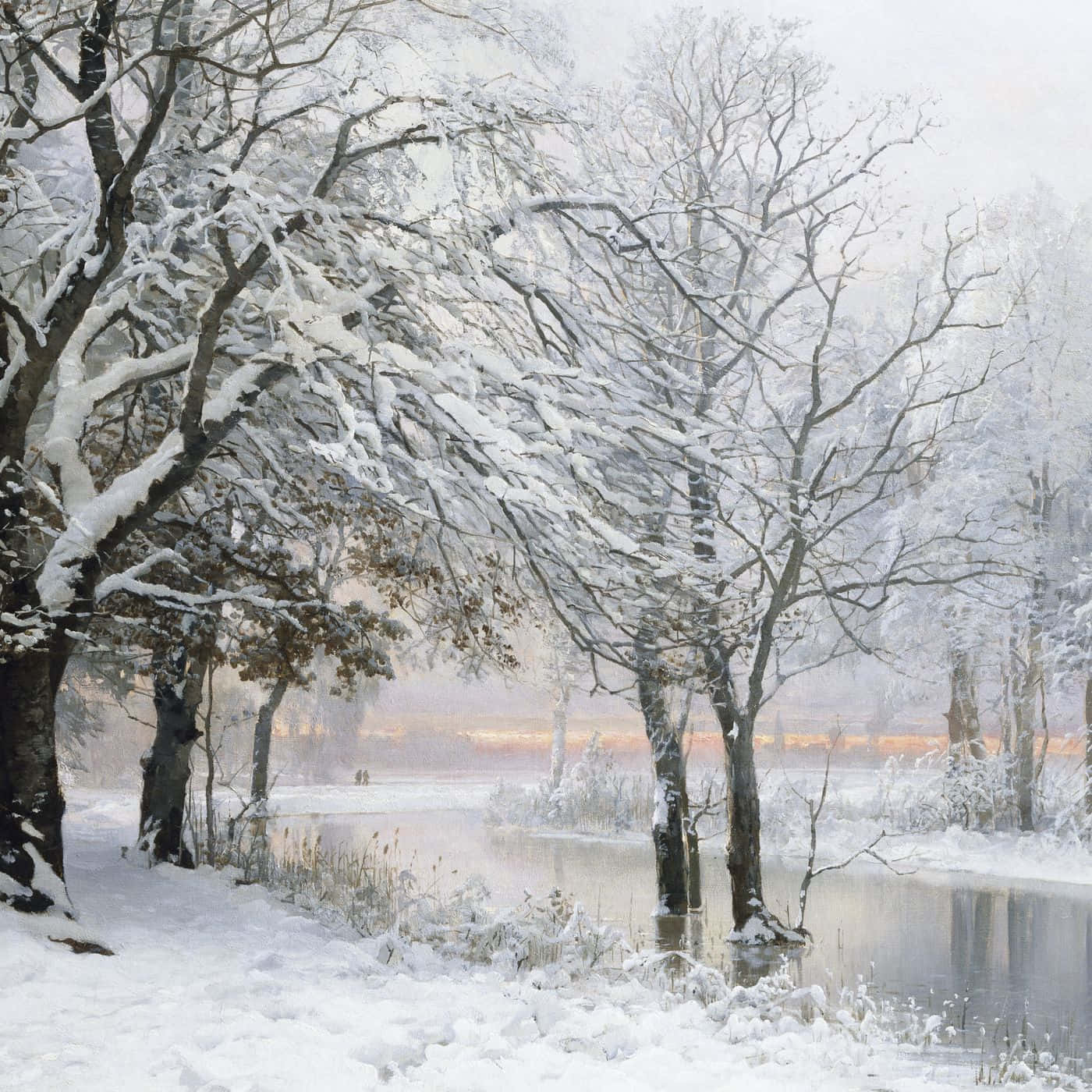 winter solstice 桌布 壁紙 — 白雪覆蓋的樹木在黎明時分框住一條霧氣瀰漫的冬日河流，地平線上泛著柔和的金色光芒。