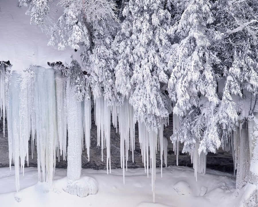 High Resolution Snow 桌布 壁紙 — 白雪覆蓋的樹木掛著長長的冰柱，在寧靜的冬日森林場景中。