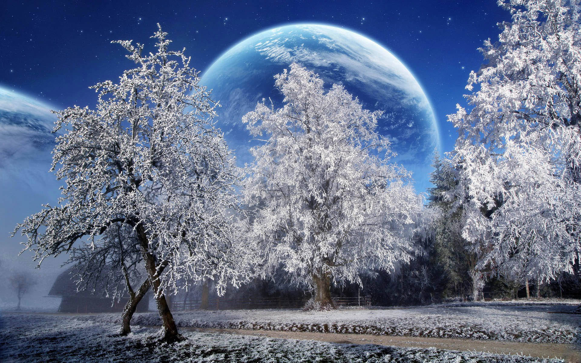 Scenes 桌布 壁紙 — 白雪覆蓋的樹木矗立在星空下，一顆巨大的藍色行星懸掛在頭頂。