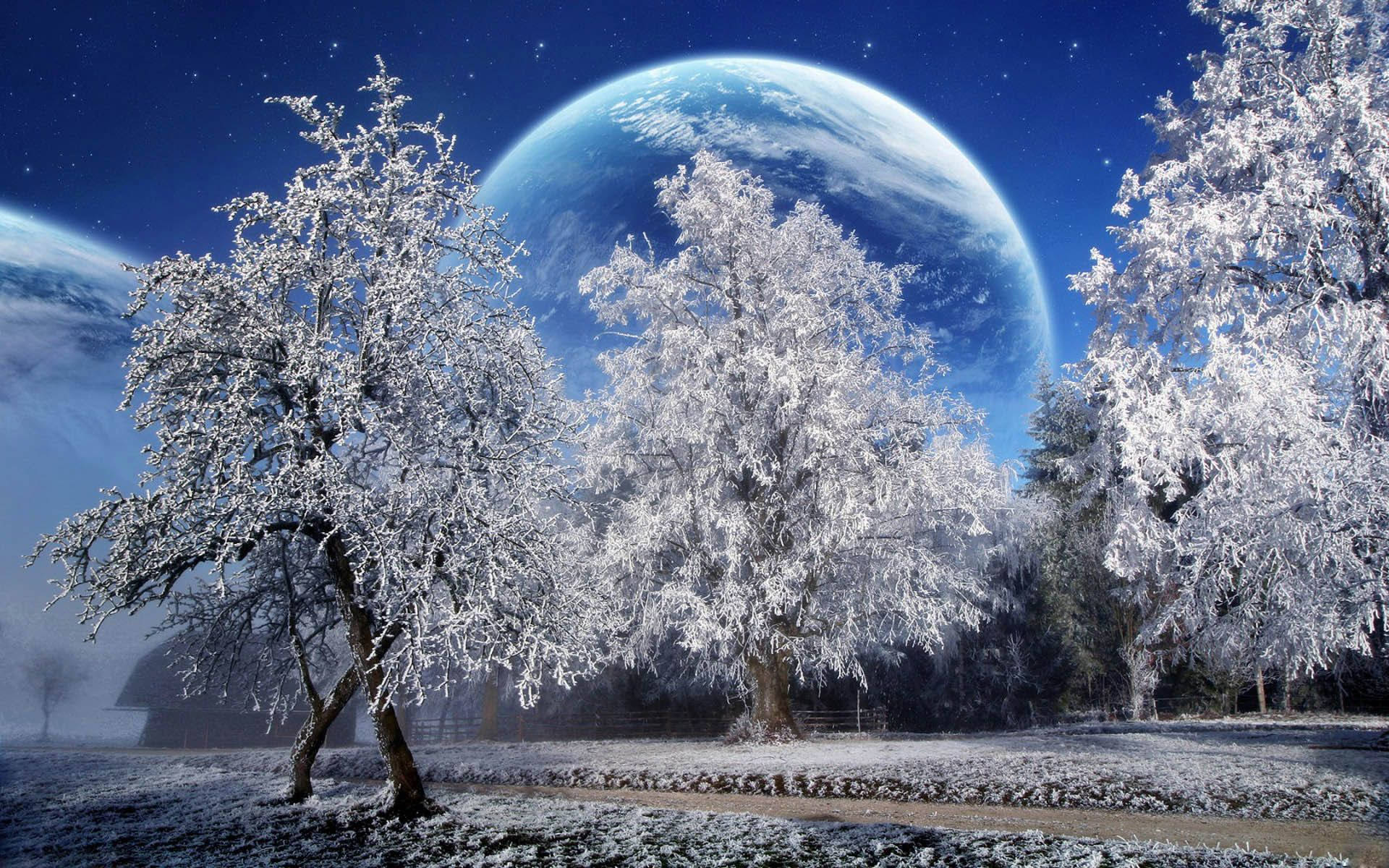 冬天 桌布 壁紙 — 白雪覆蓋的樹木矗立在霜凍的田野上，星空下有一顆巨大的藍色星球懸掛在頭頂。