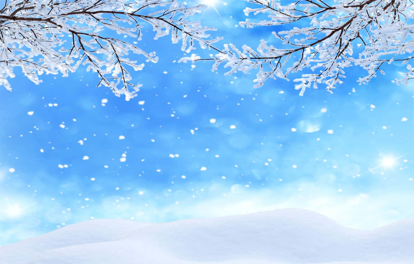 冬季美學 桌布 壁紙 — 白雪覆蓋的樹枝框住了一片明亮的藍天，雪花飄落，陽光灑在雪丘上。