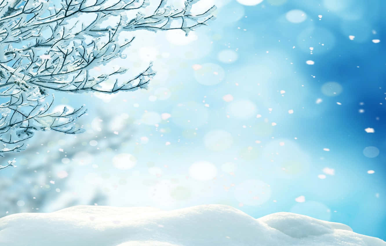 Bokeh 桌布 壁紙 — 白雪覆蓋的樹枝框住柔和的藍天，飄落的雪花和散景燈光。