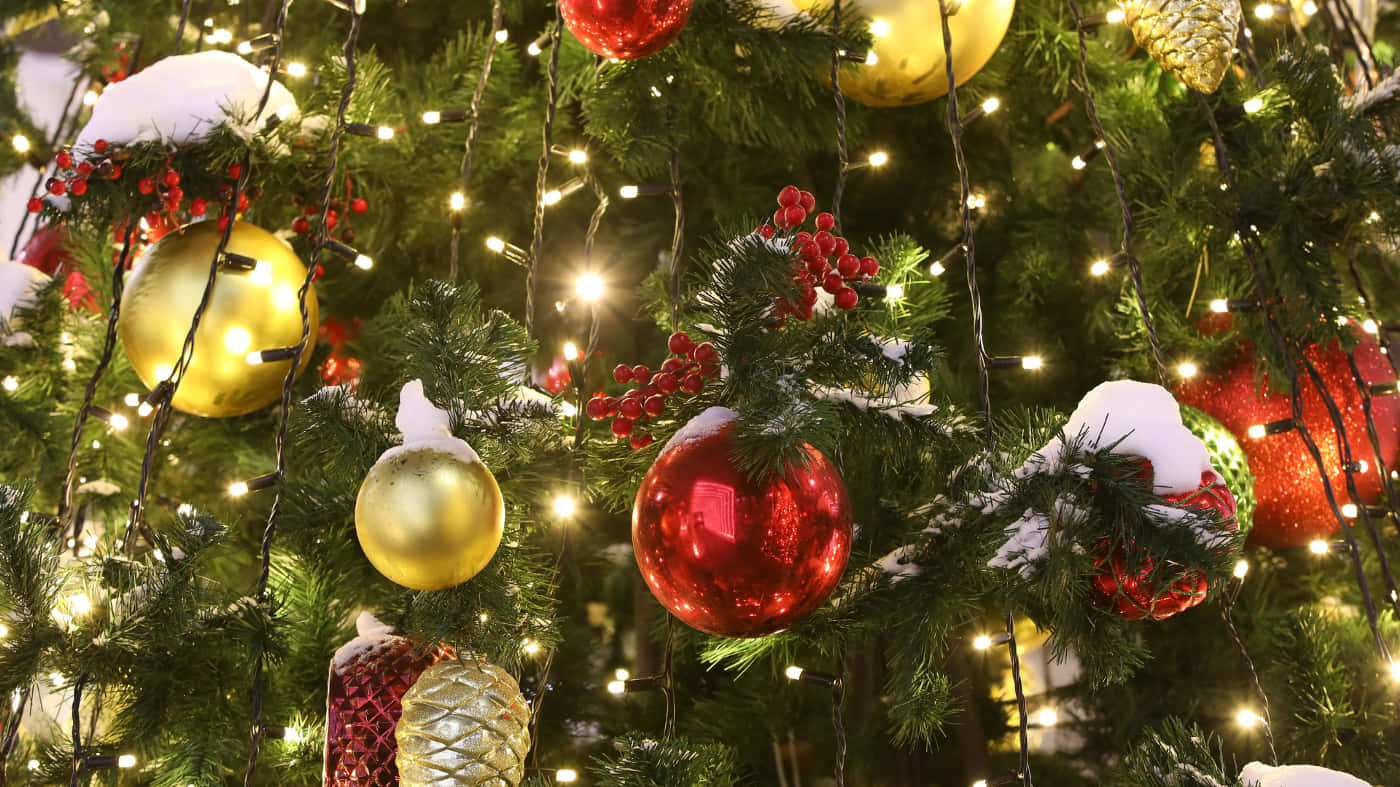 Teams Christmas 桌布 壁紙 — 白雪覆蓋的聖誕樹特寫，飾有閃爍的燈光、紅色和金色的裝飾品以及紅莓。