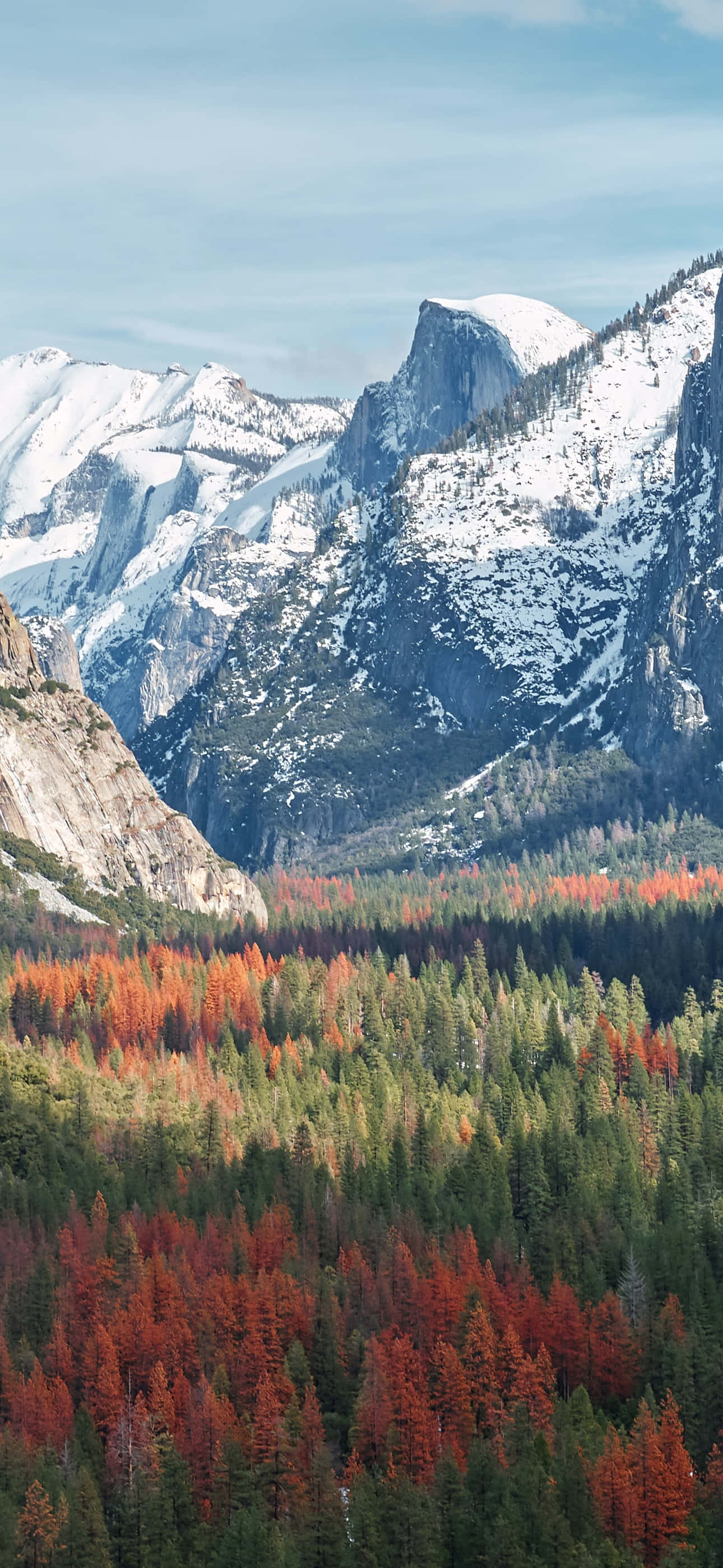 Fall Mountains 桌布 壁紙 — 白雪覆蓋的花崗岩山峰聳立於山谷之上，山谷中火紅與翠綠的秋樹在清澈的藍天下。