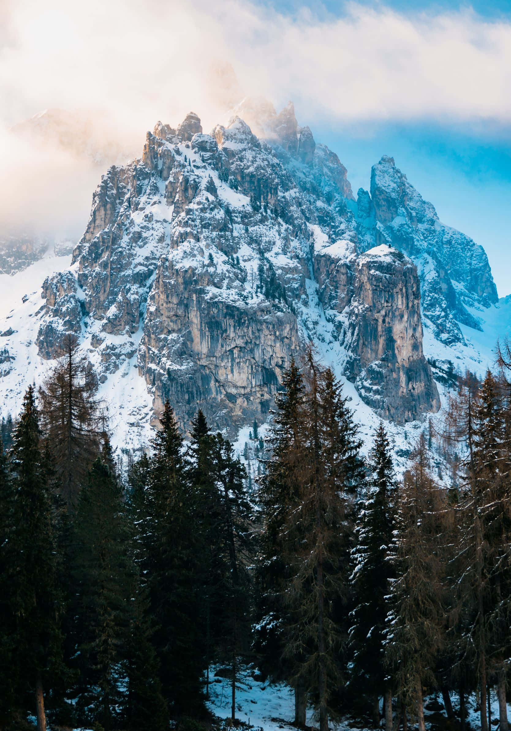 1668x2388 桌布 壁紙 — 白雪覆蓋的鋸齒狀山峰穿過迷霧雲層，聳立在茂密的常綠樹林之上。