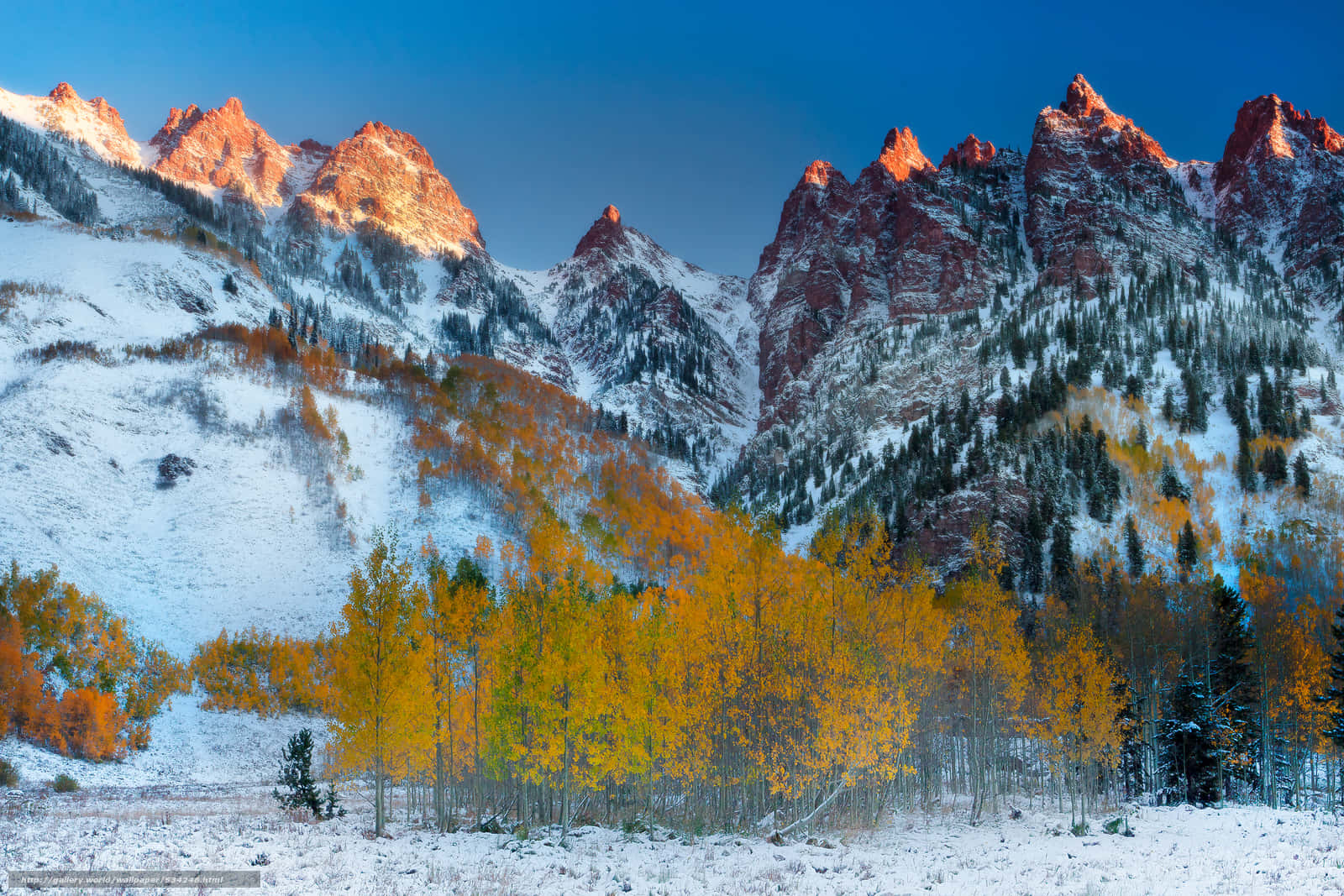 Aspen Colorado 桌布 壁紙 — 白雪覆蓋的鋸齒狀山脈在日出光芒中閃耀，金色的白楊樹點綴在前景。