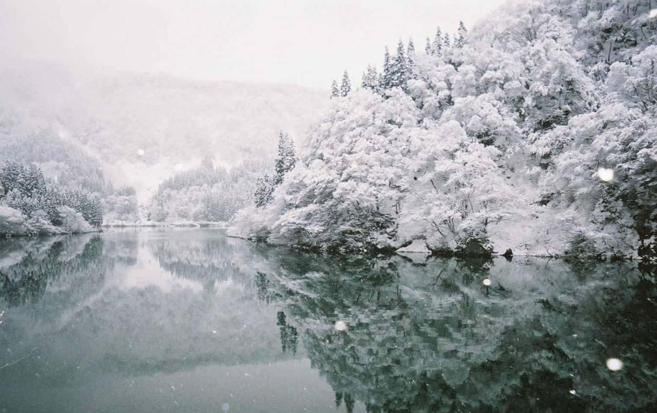Frozen Lake 桌布 壁紙 — 白雪覆蓋茂密的常綠樹，在陰沉的冬日天空下，倒映在平靜、霧氣瀰漫的湖面上。