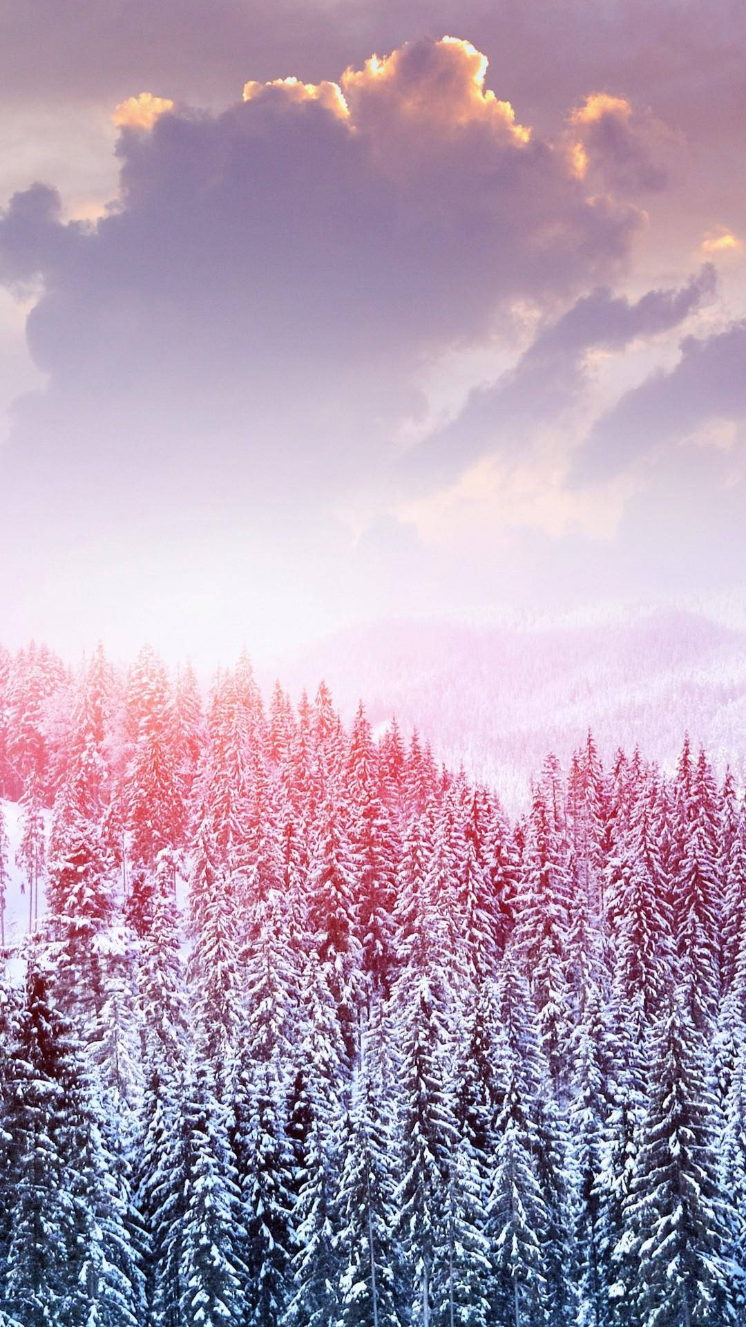 雲朵 桌布 壁紙 — 白雪覆蓋茂密的常綠樹，天空呈現柔和的紫色和金色日落，伴隨著戲劇性的雲彩。